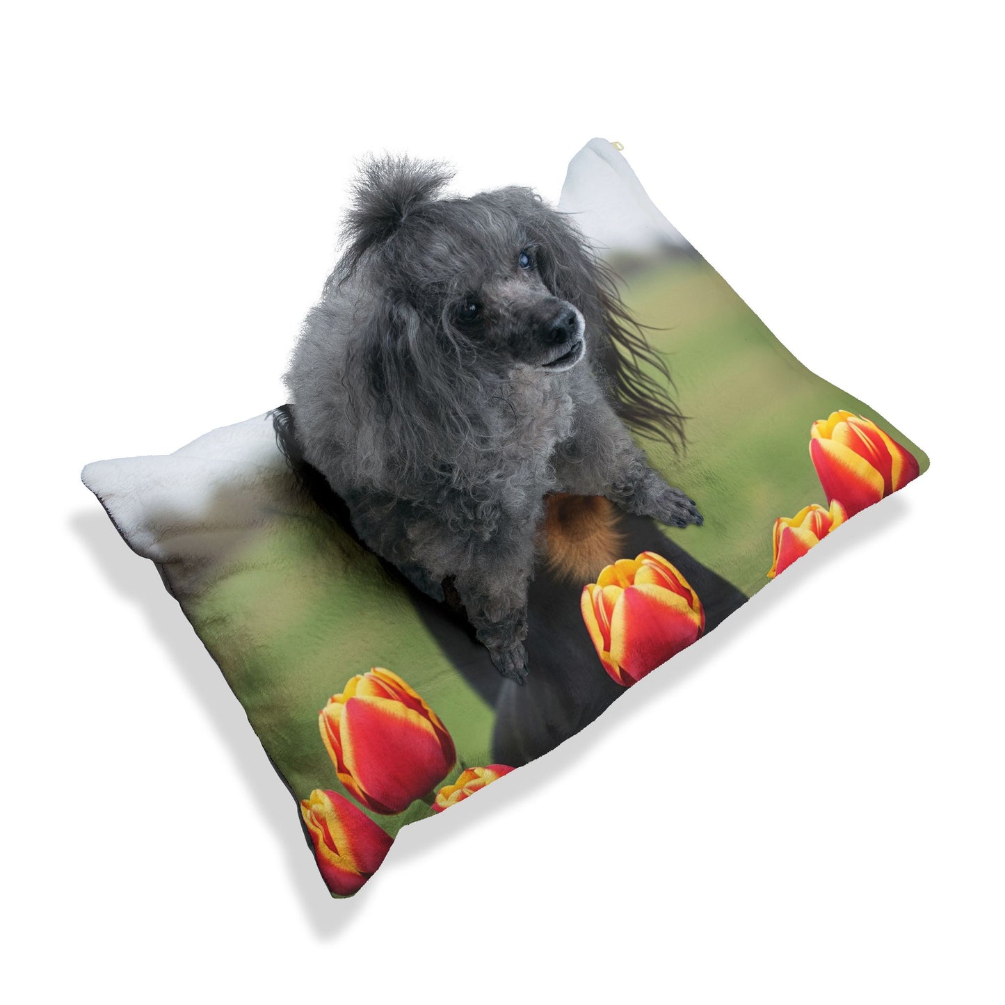 Russian Toy Pet Bed