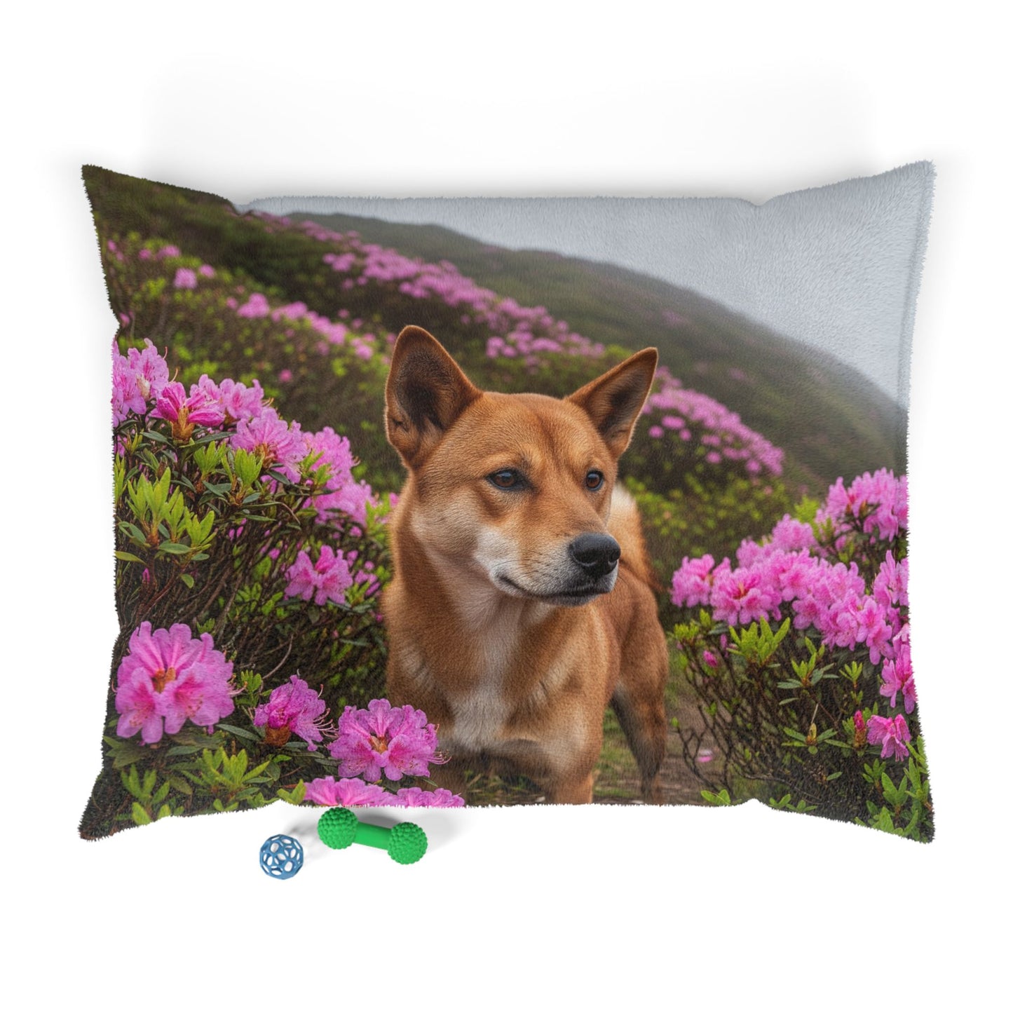 Taiwan Dog Pet Bed