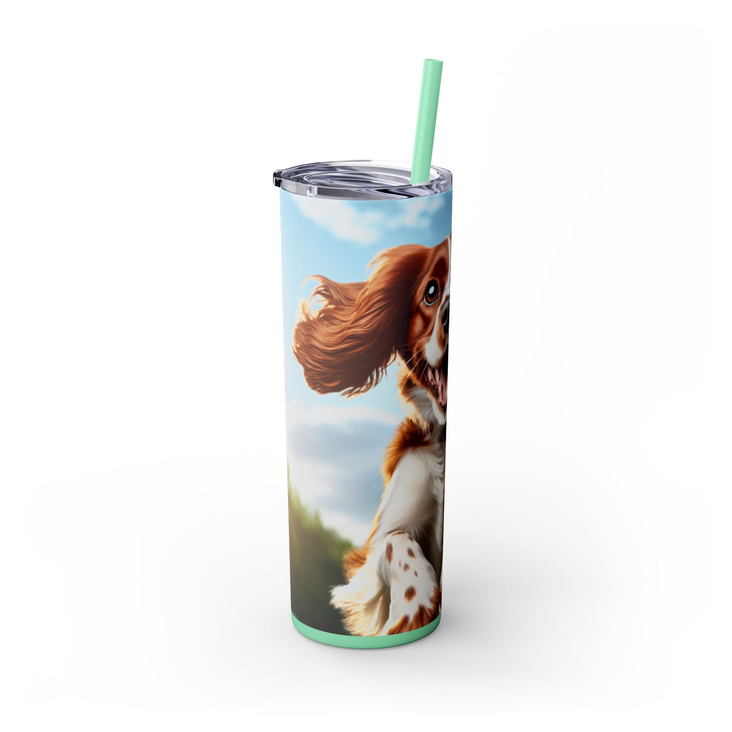 Welsh Springer Spaniel Skinny Tumbler with Straw, 20oz
