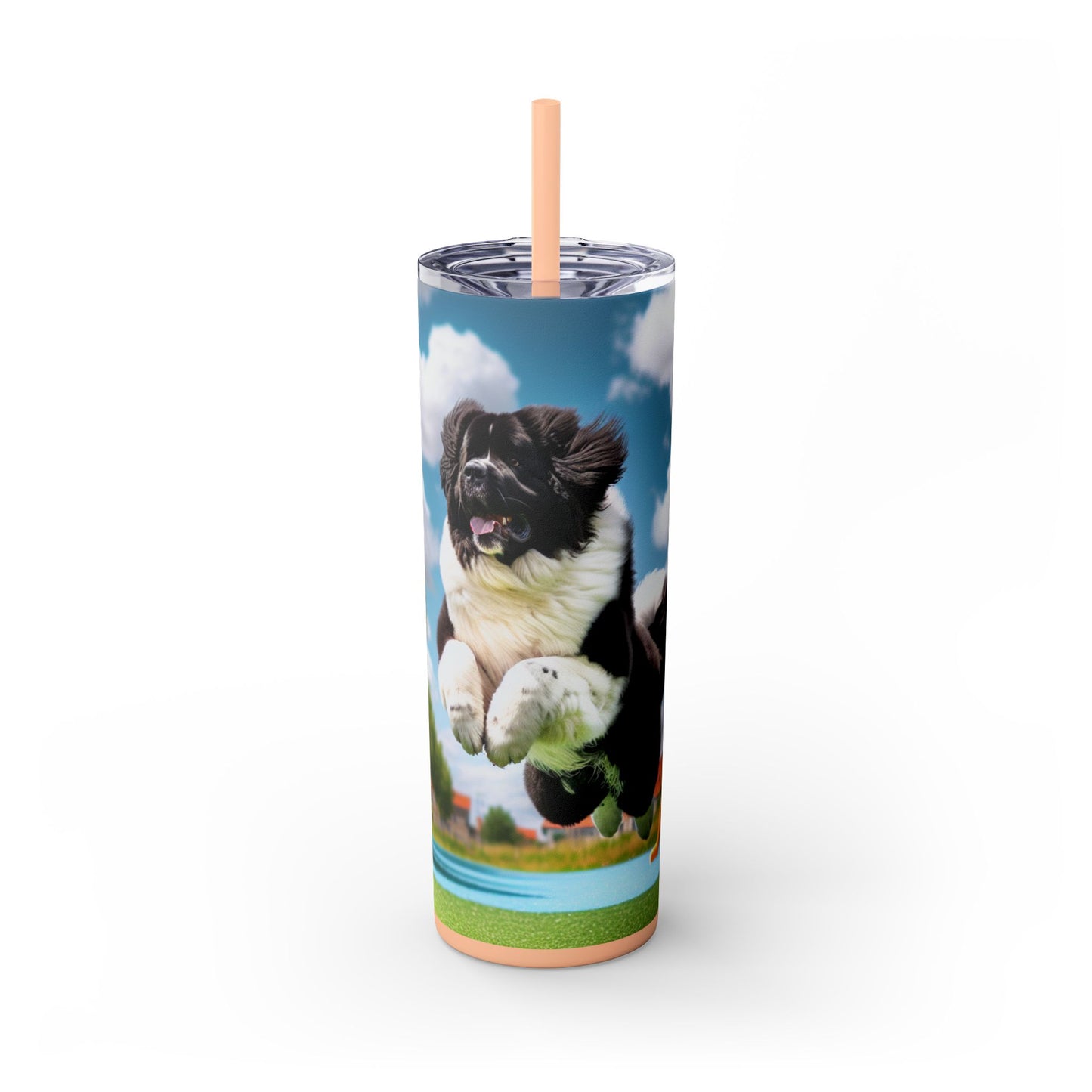 Landseer Tumbler with Straw, 20oz
