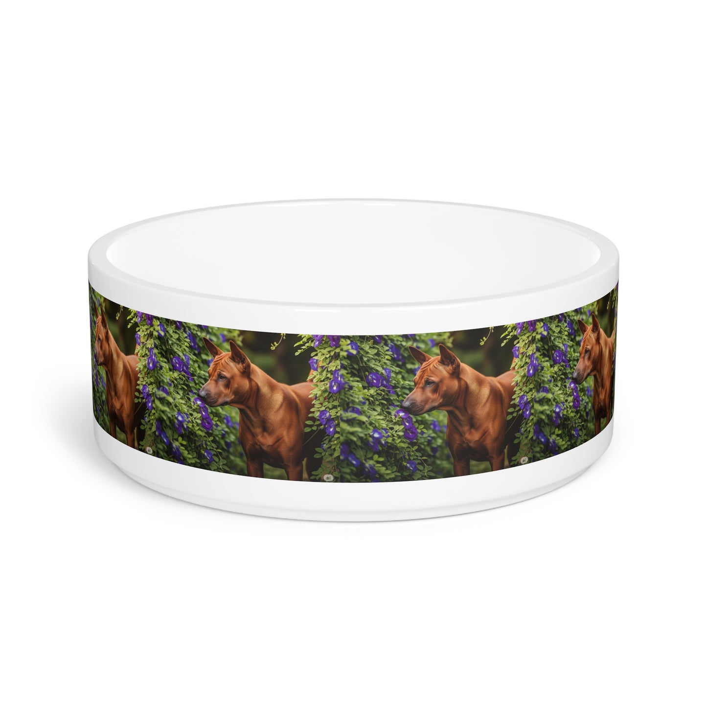Thai Ridgeback Pet Bowl