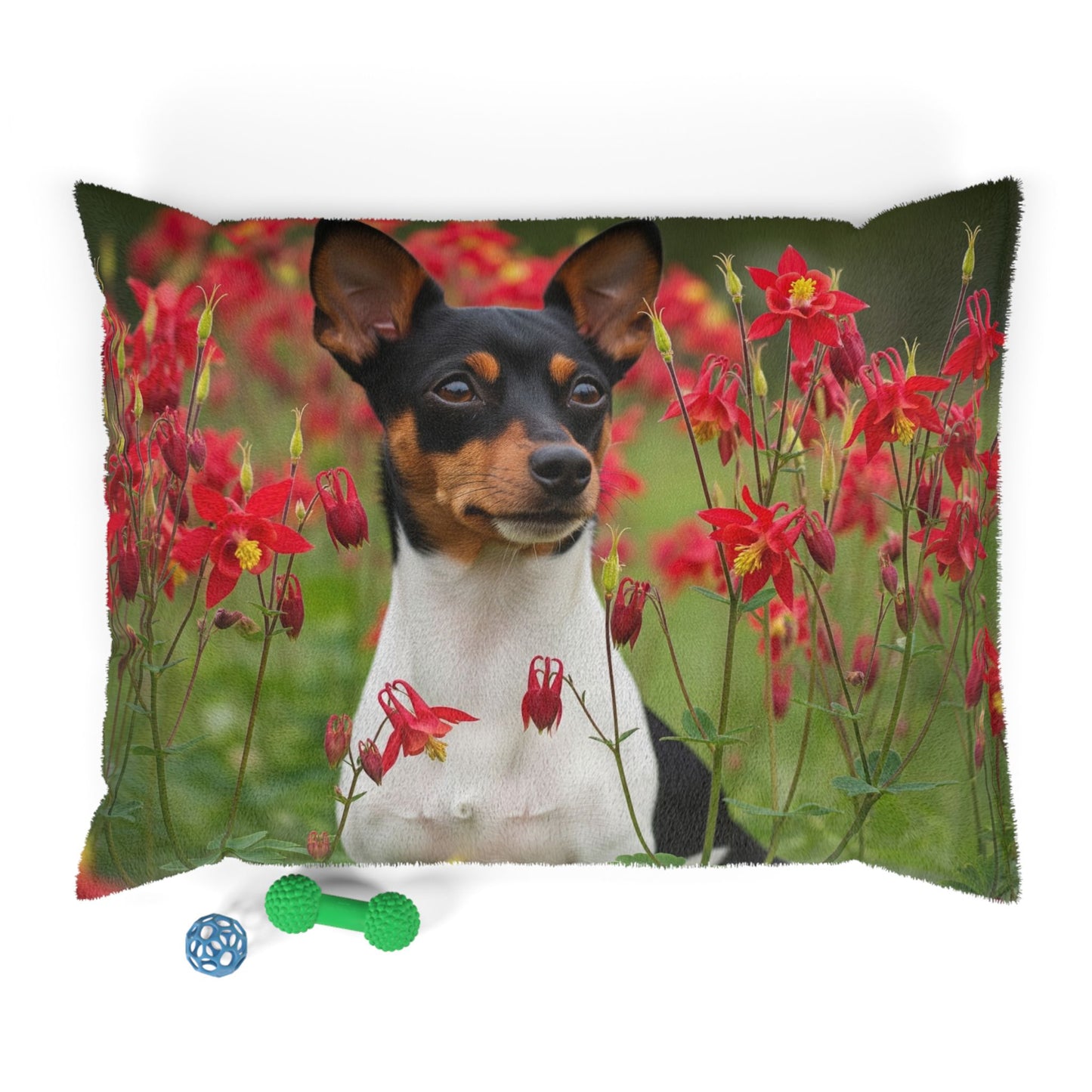 Toy Fox Terrier Pet Bed