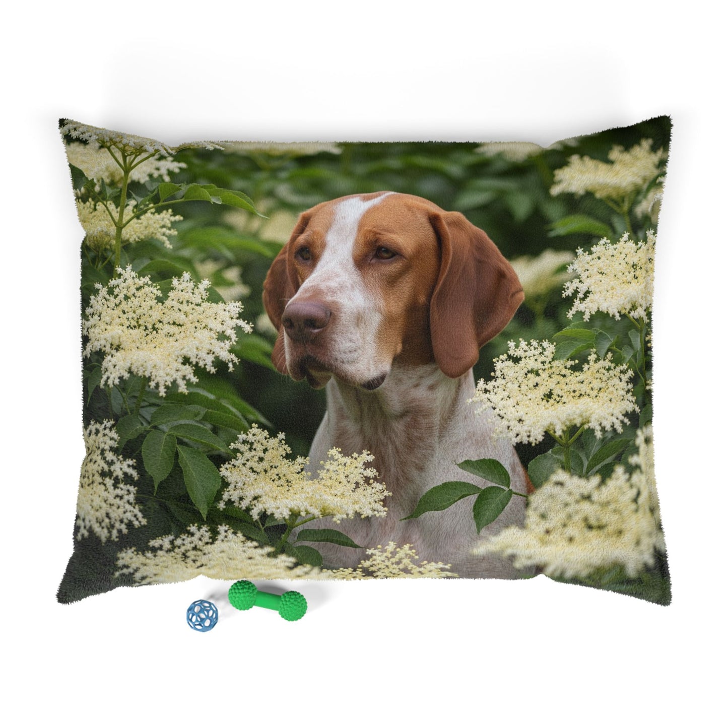 Braque St. Germain Pet Bed