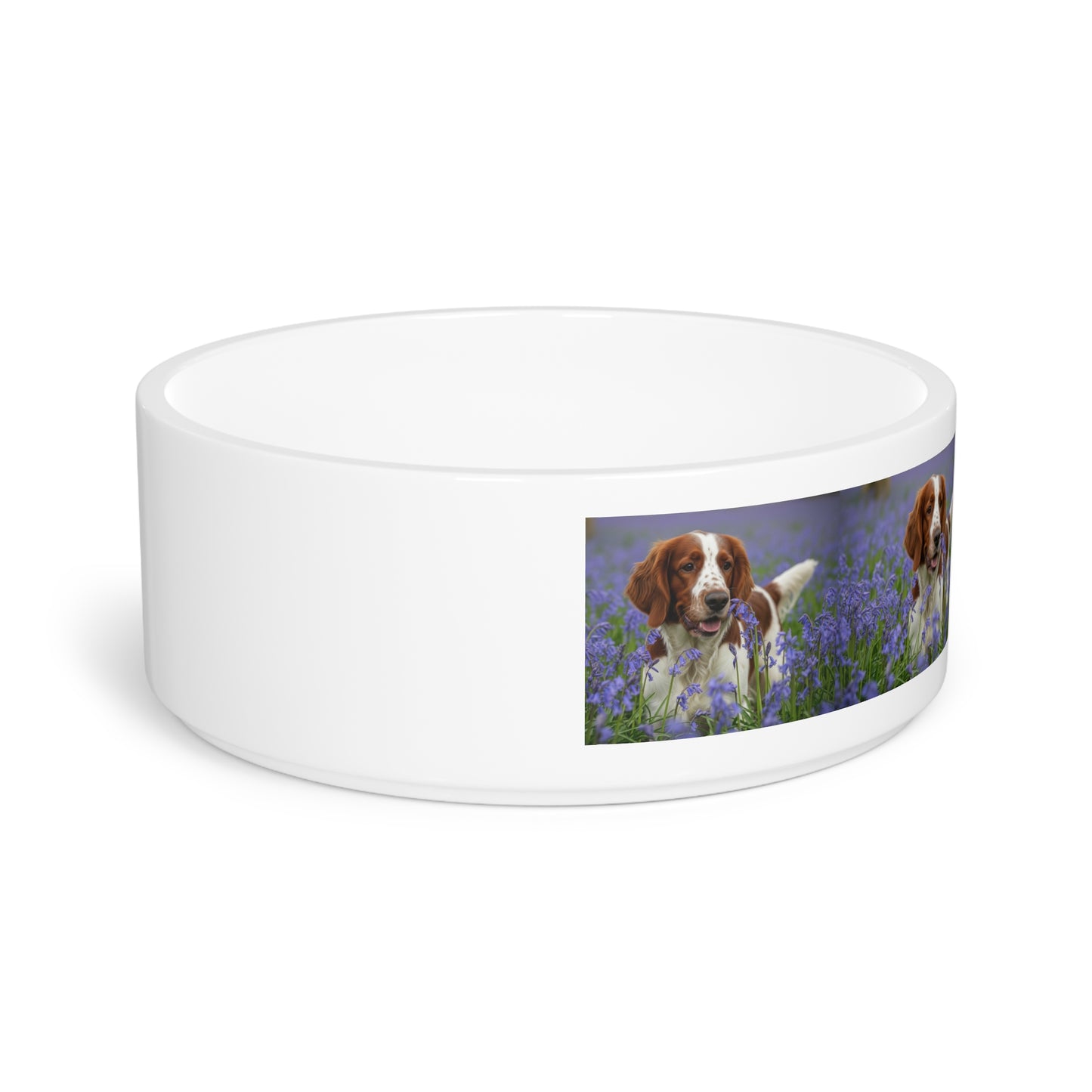 Welsh Springer Spaniel Pet Bowl