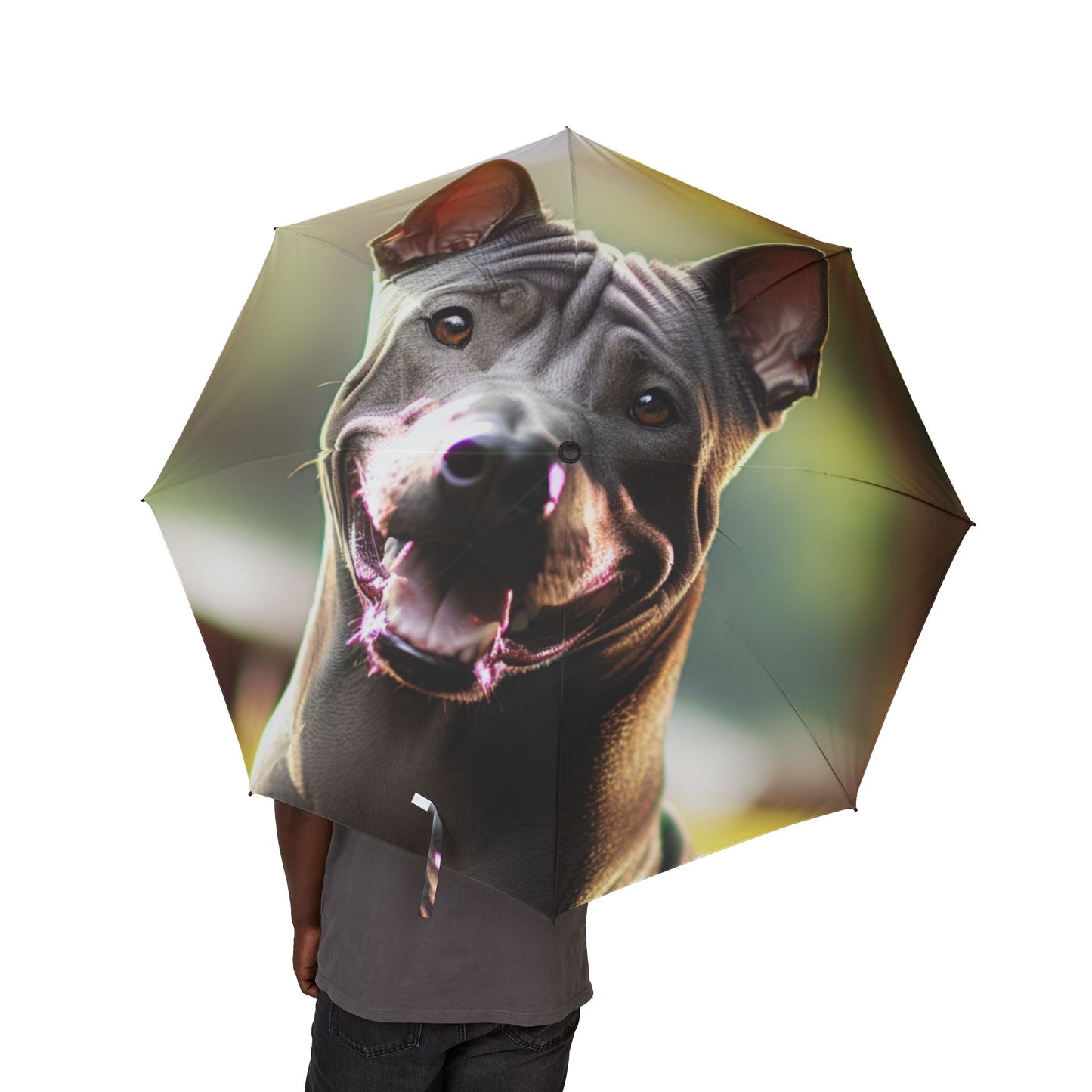 Thai Ridgeback Semi-Automatic Foldable Umbrella