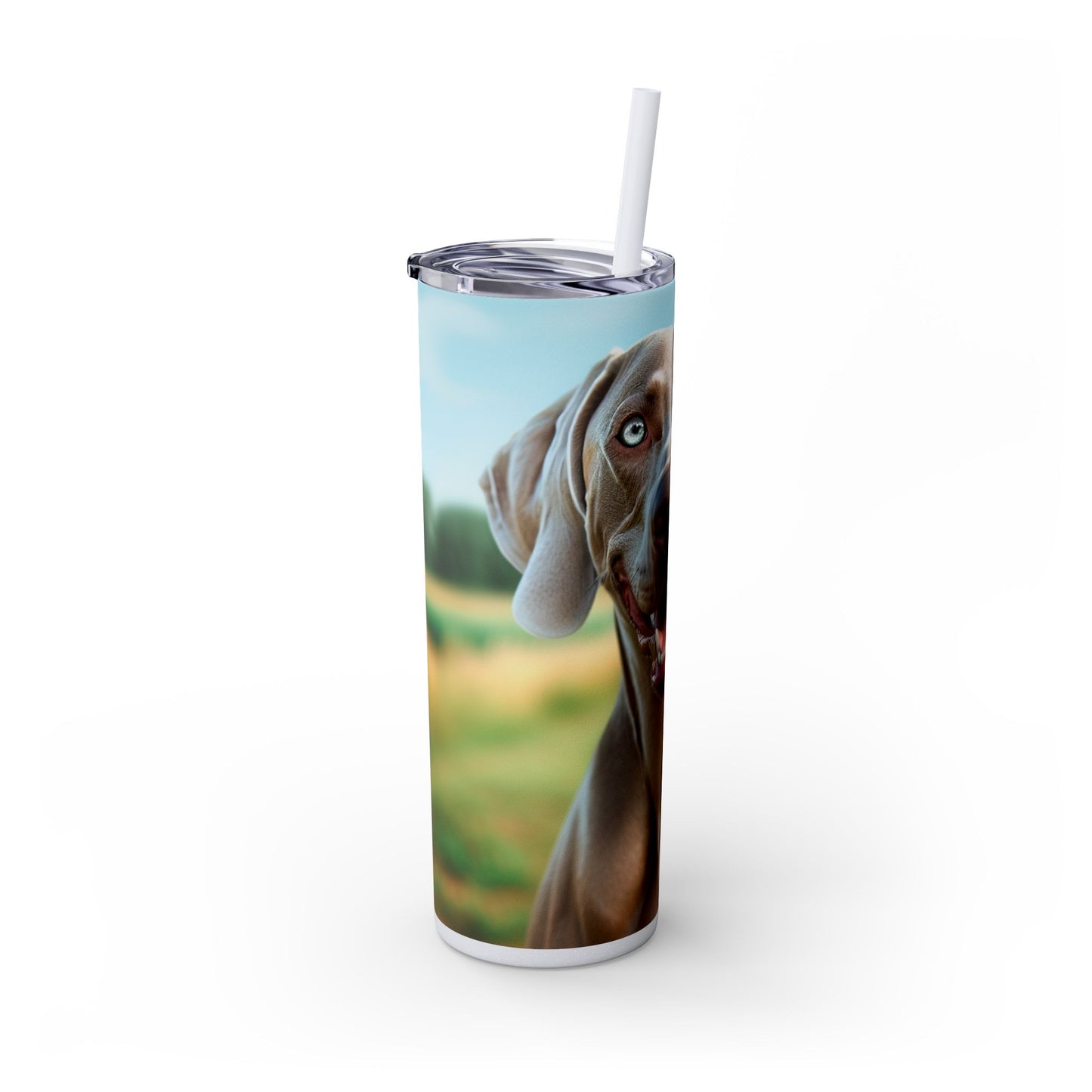 Weimaraner Skinny Tumbler with Straw, 20oz