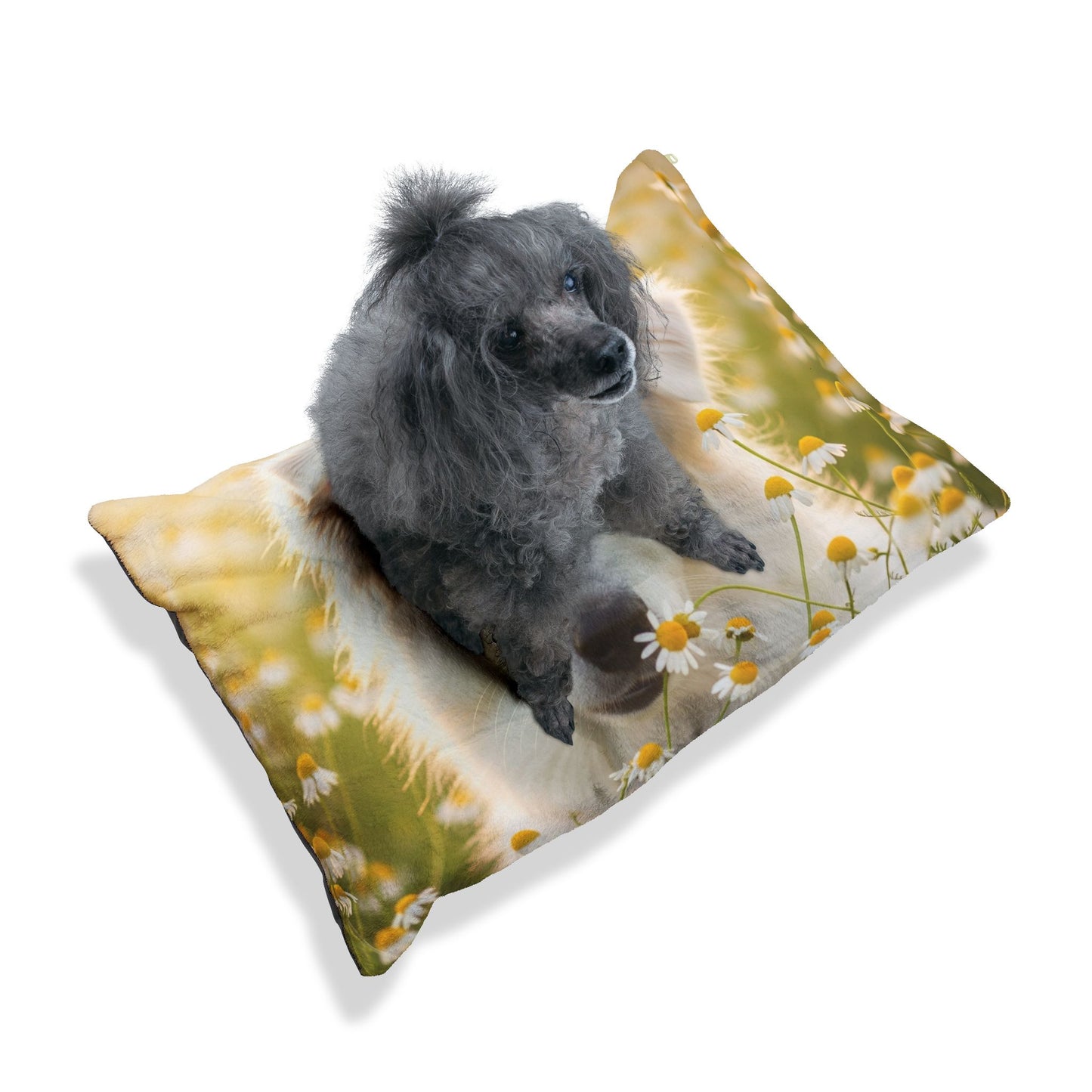 Russkaya Tsvetnaya Bolonka Pet Bed
