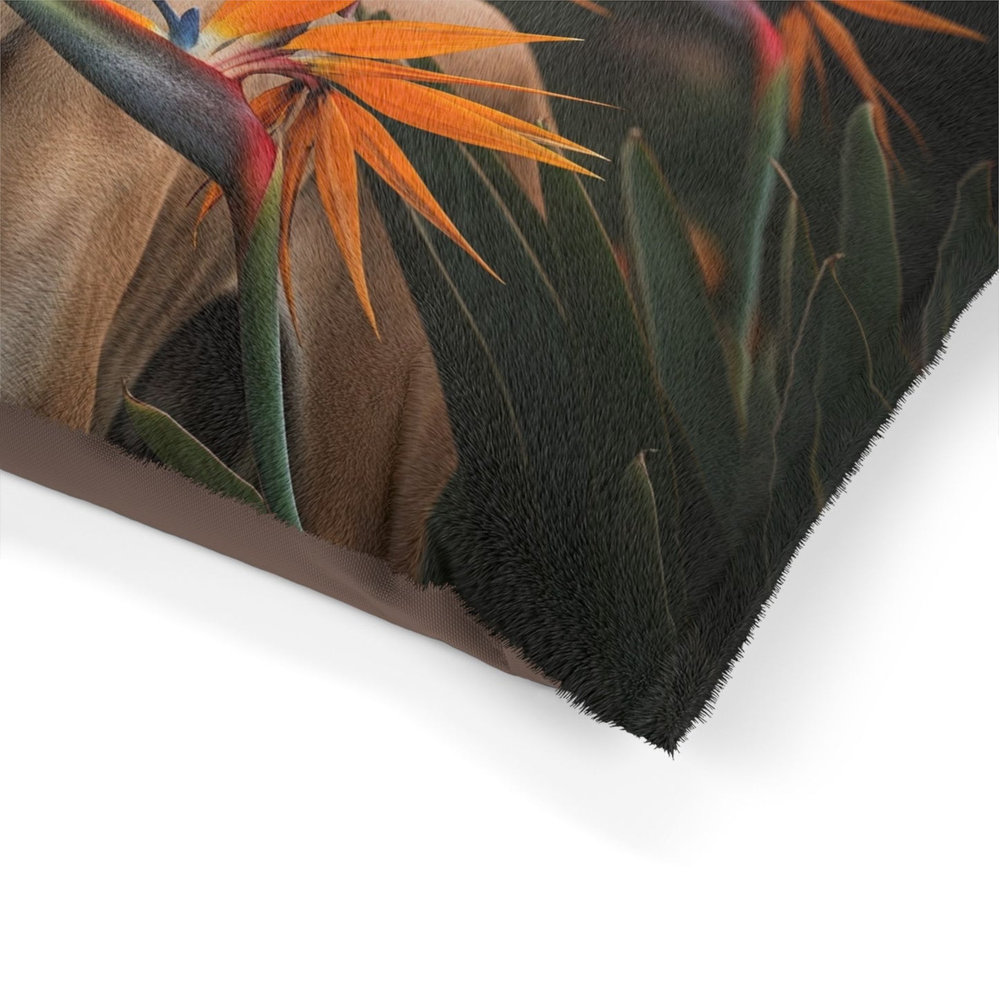 Azawakh Pet Bed