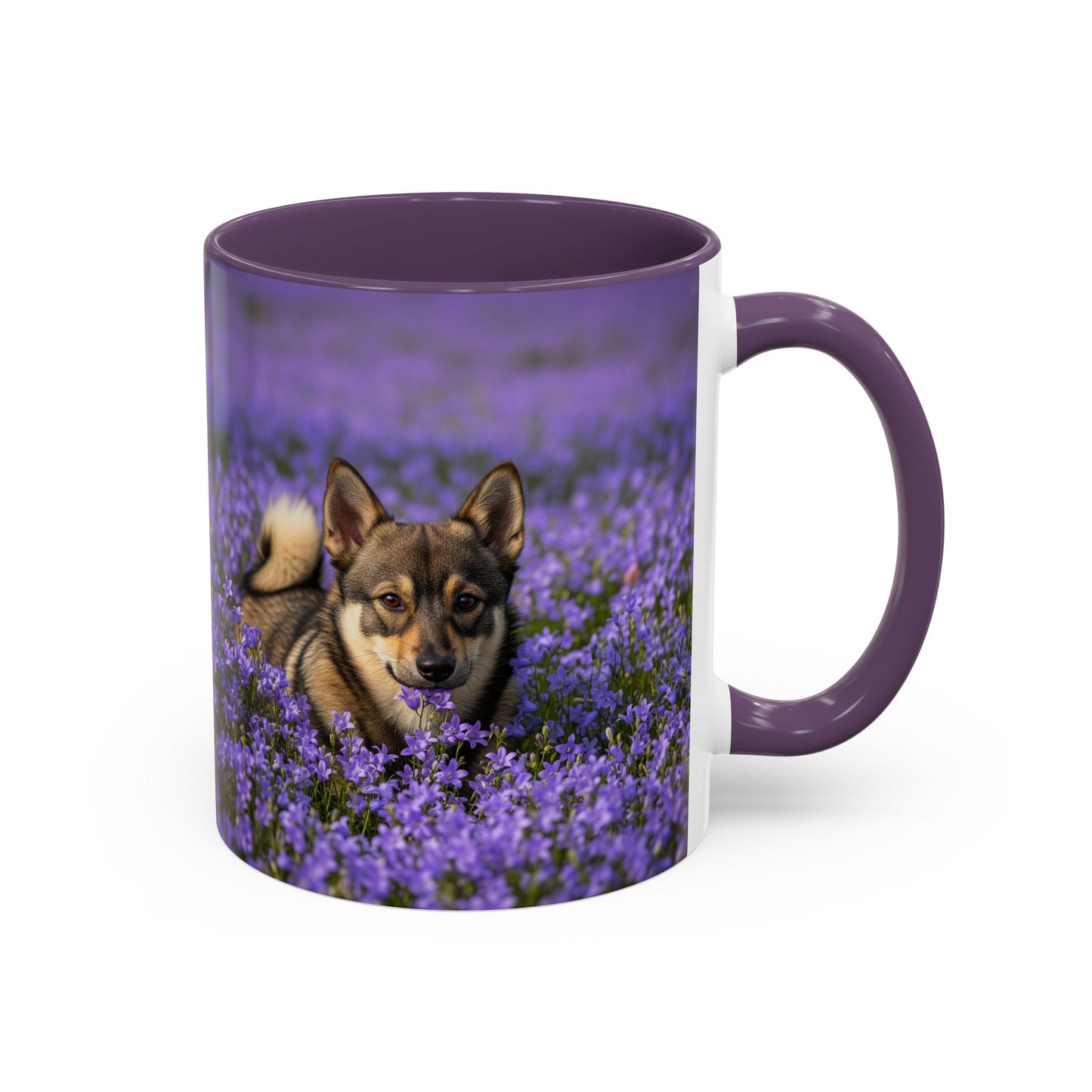 Swedish Vallhund Accent Coffee Mug - Perfect Gift for Dog Lovers