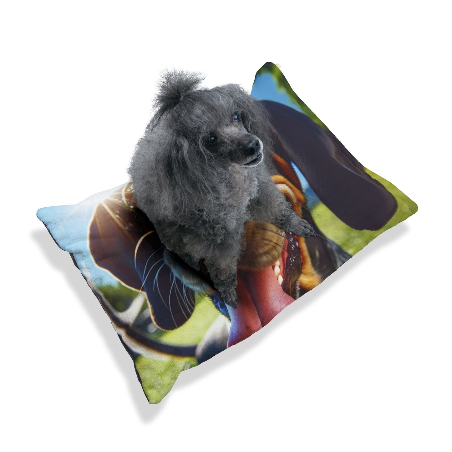 Bluetick Coonhound Pet Bed