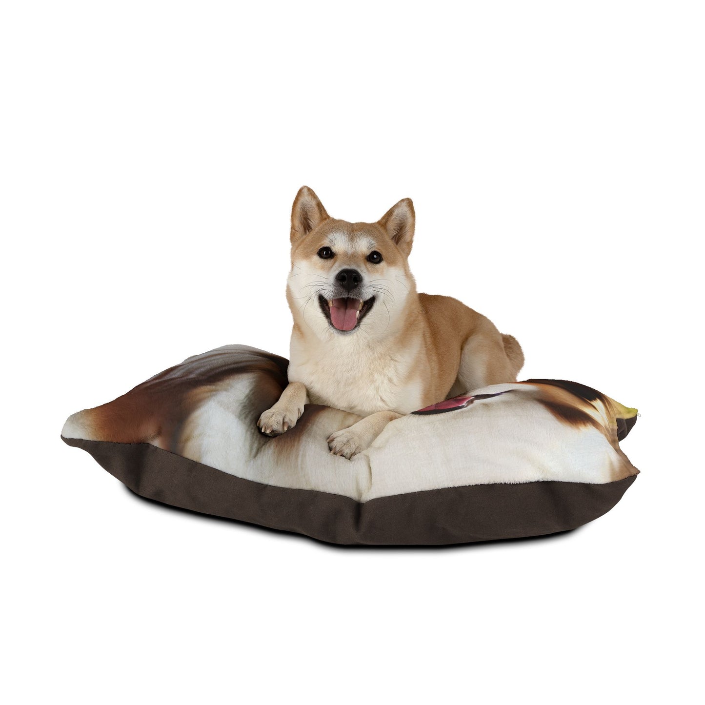 Drentsche Patrijshond Pet Bed