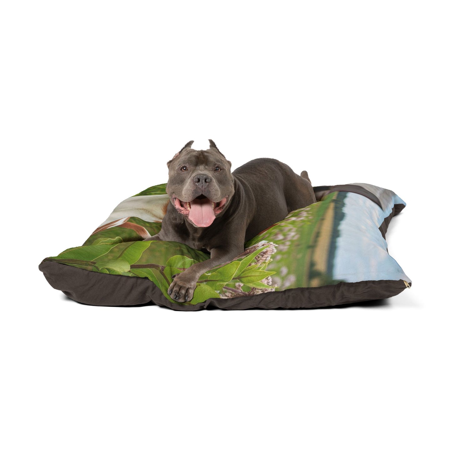 Rat Terrier Pet Bed
