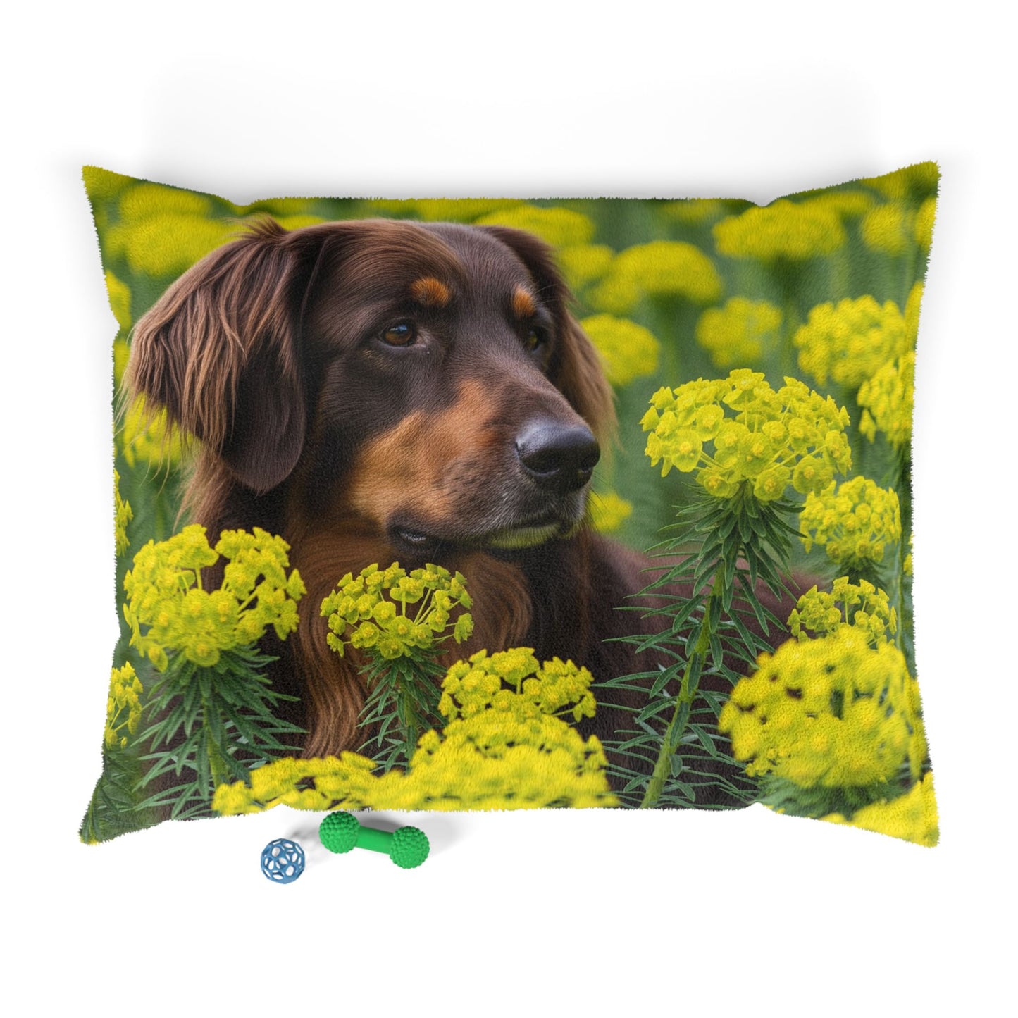 Hovawart Pet Bed