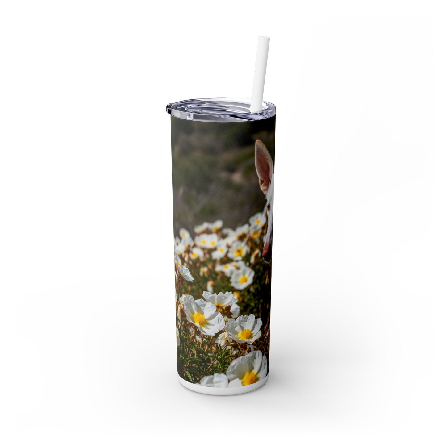Ibizan Hound Tumbler with Straw, 20oz