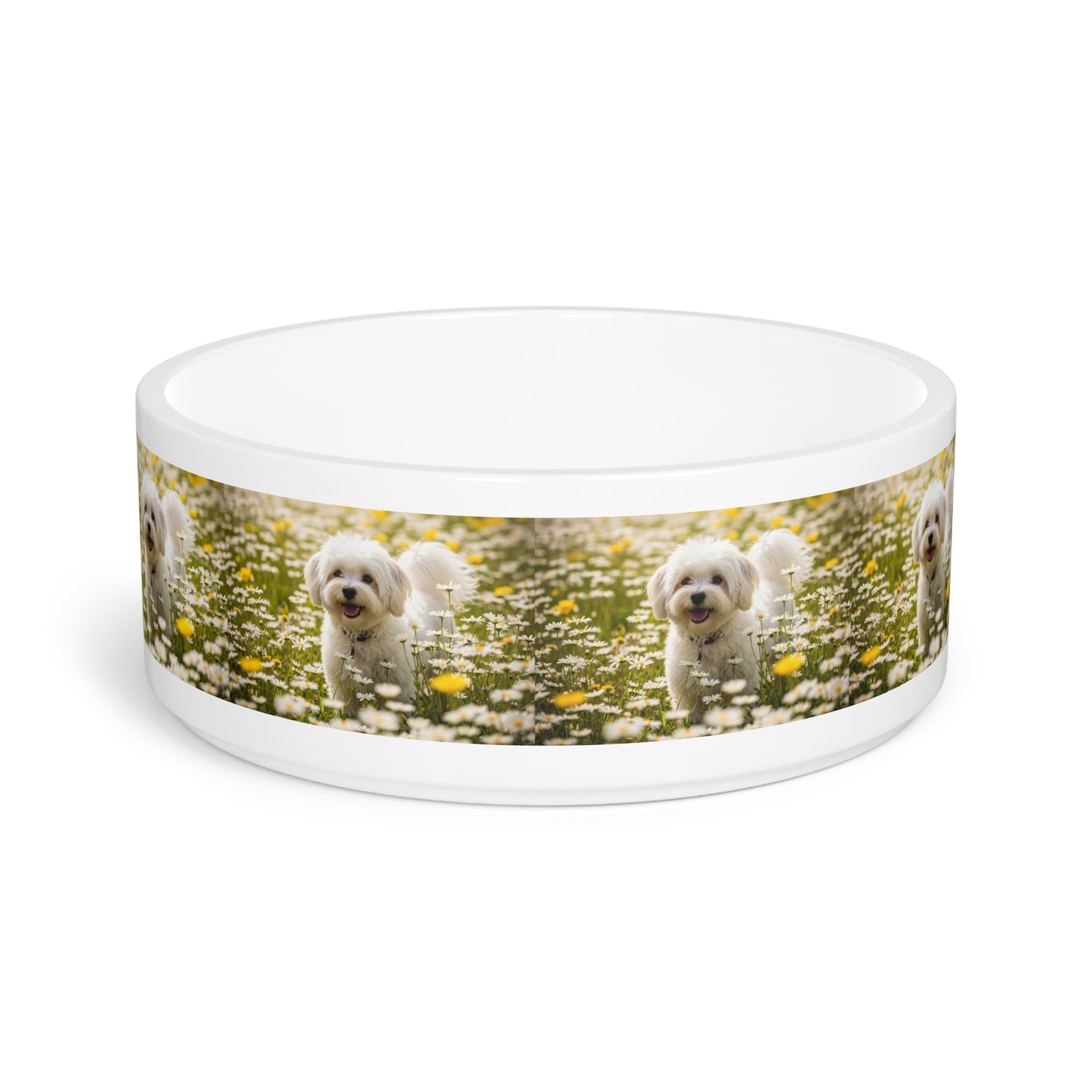 Lowchen Pet Bowl