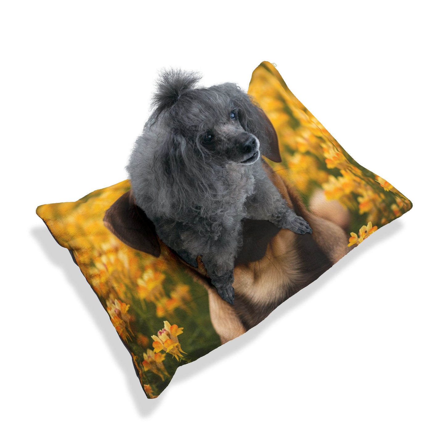 Puggle Pet Bed