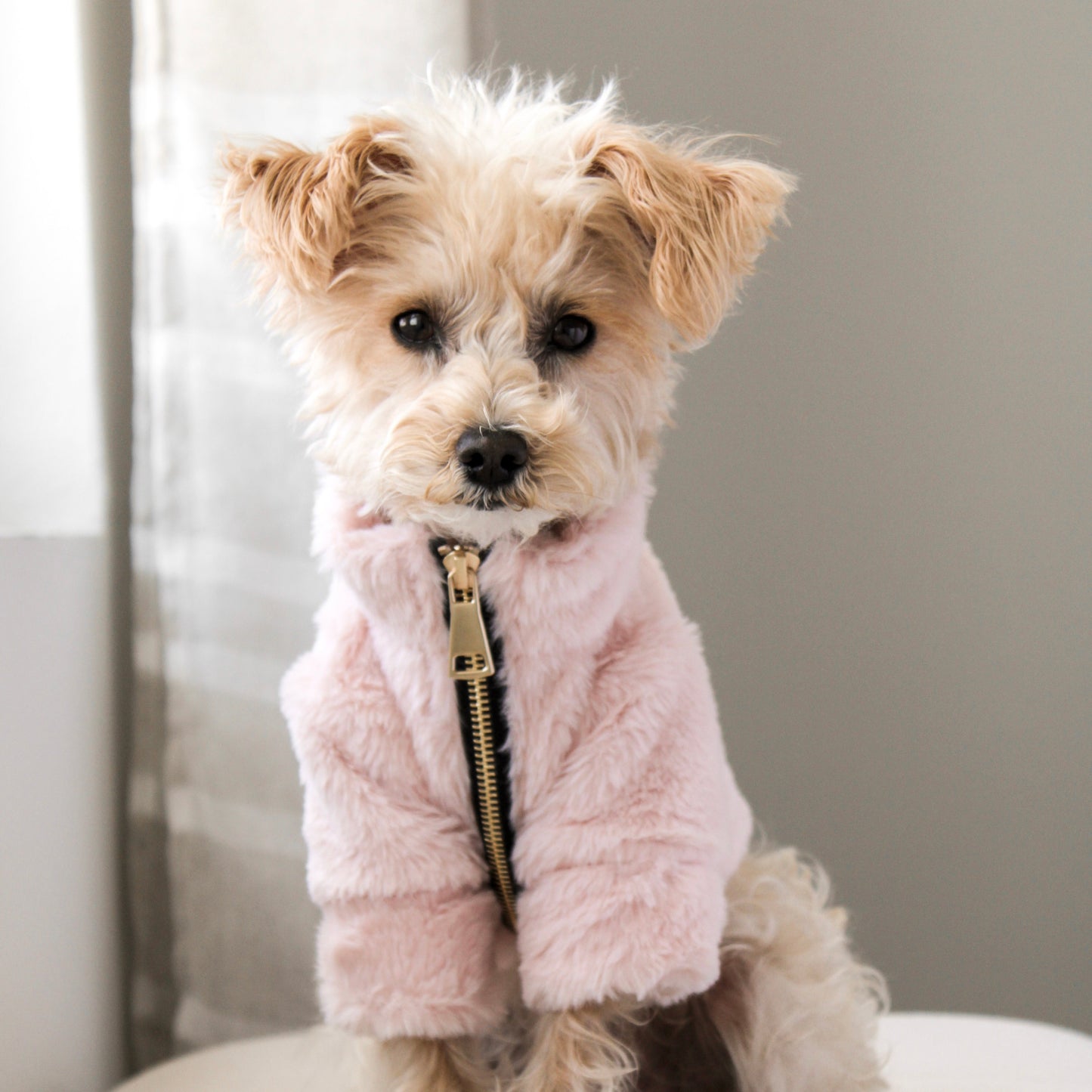Abrigo para mascotas Furi - Rosa