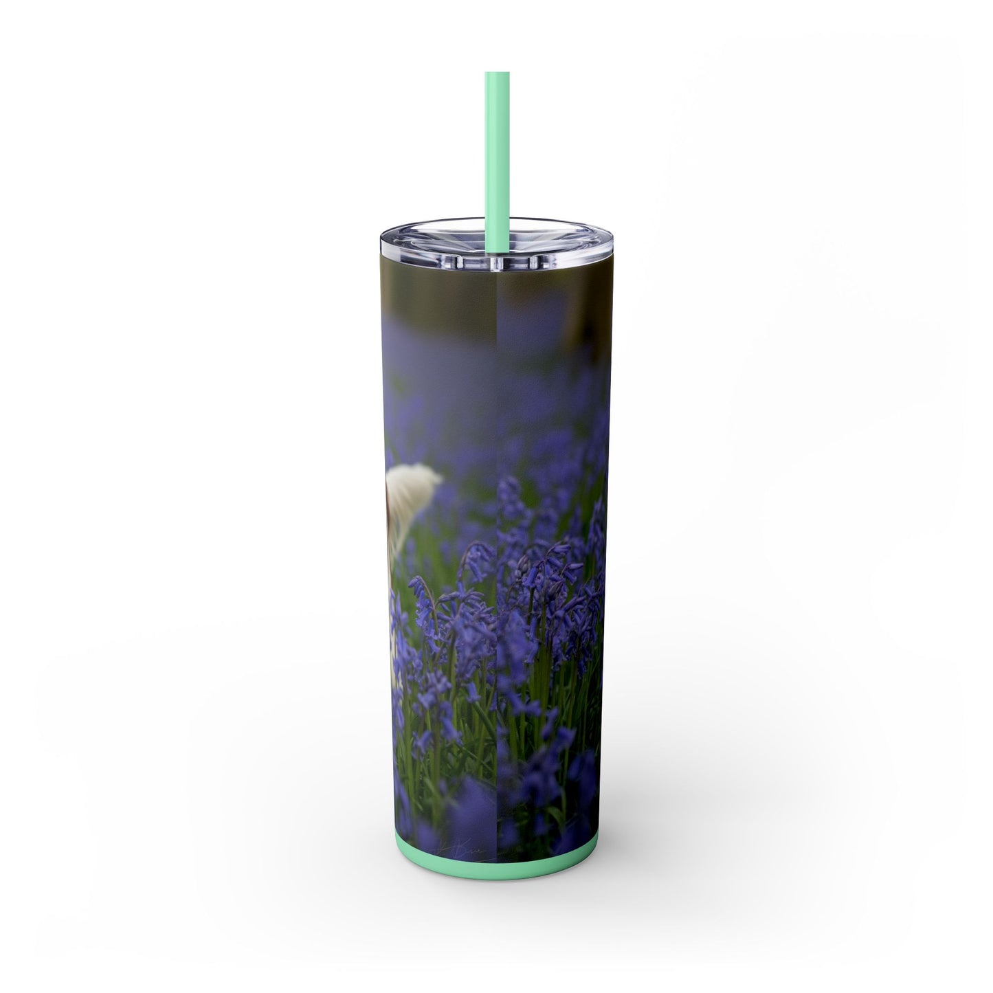 Welsh Springer Spaniel Skinny Tumbler with Straw, 20oz