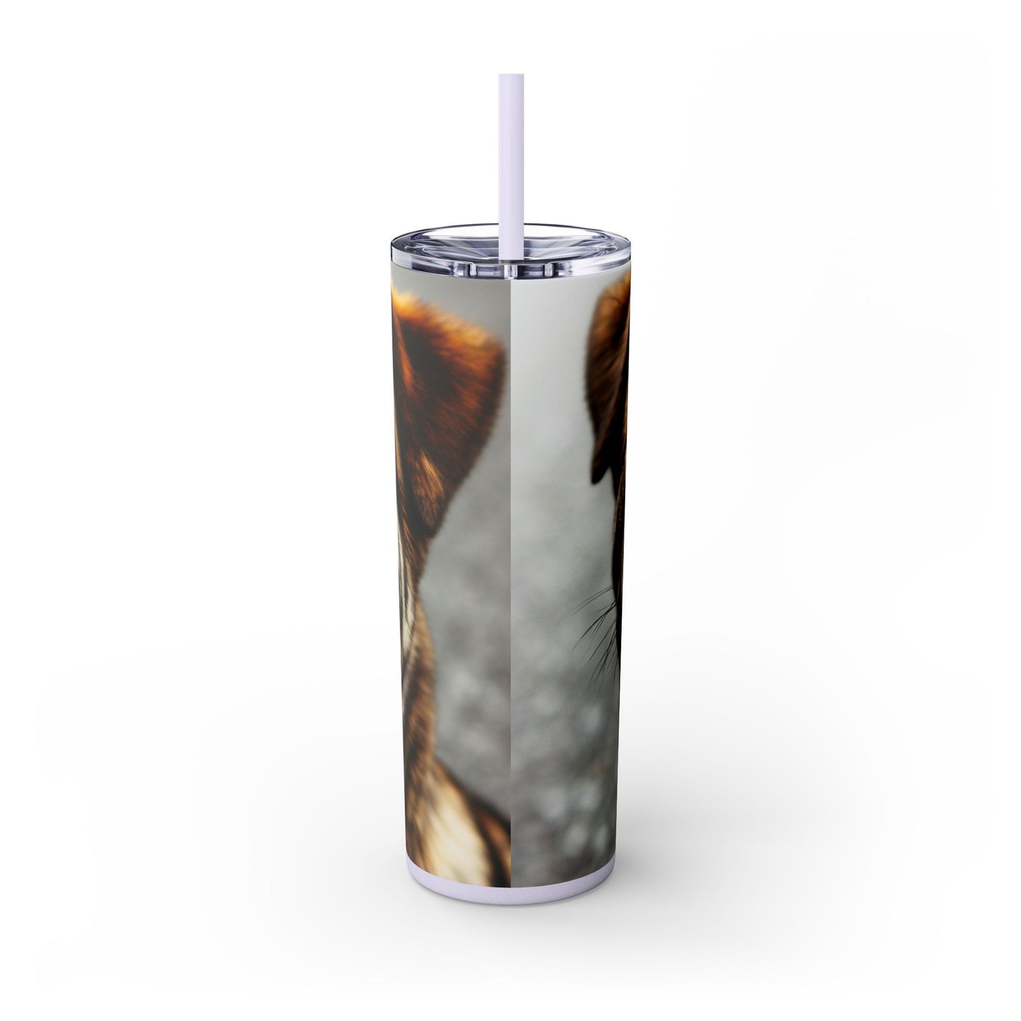 Kai Ken Tumbler with Straw, 20oz