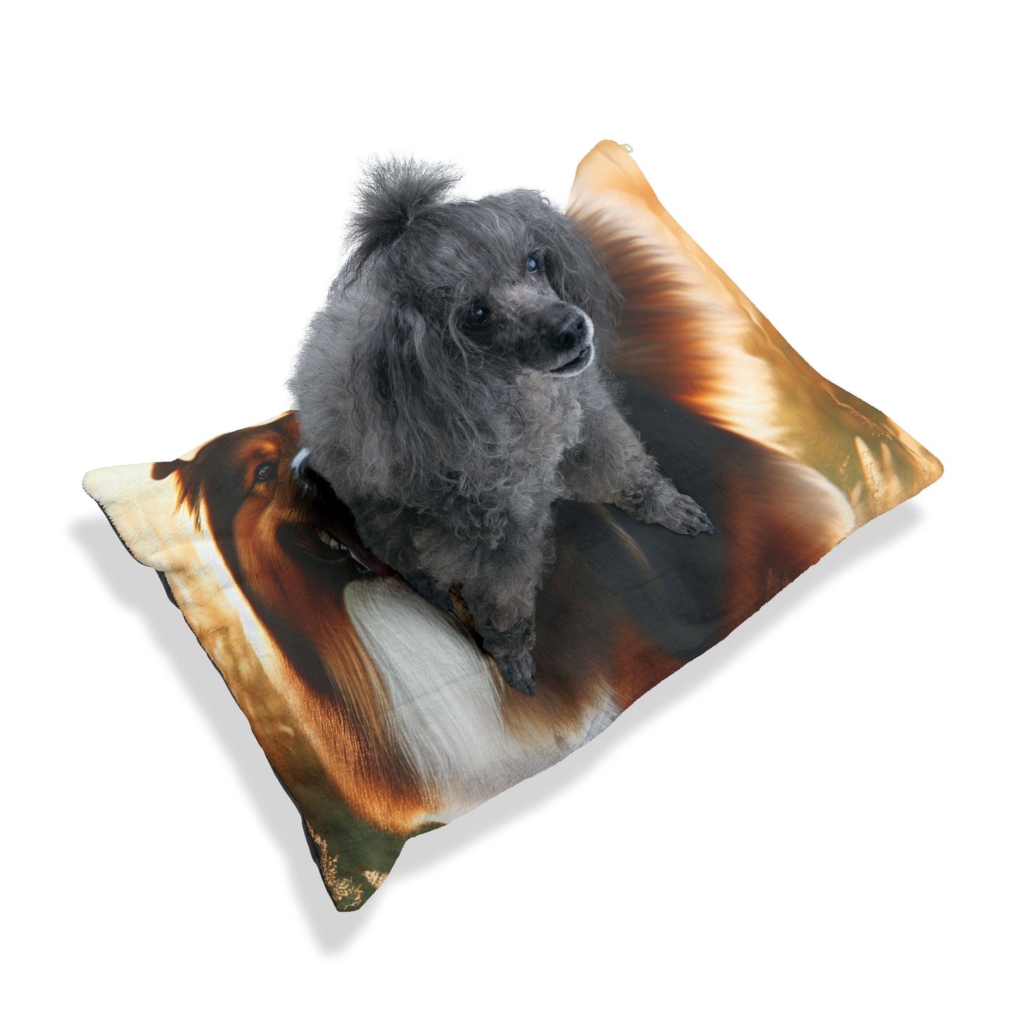 Bohemian Shepherd Pet Bed