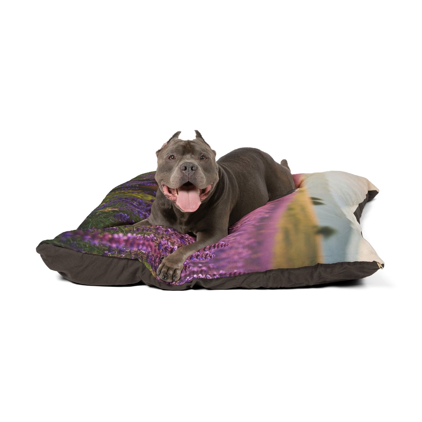 Transylvanian Hound Pet Bed