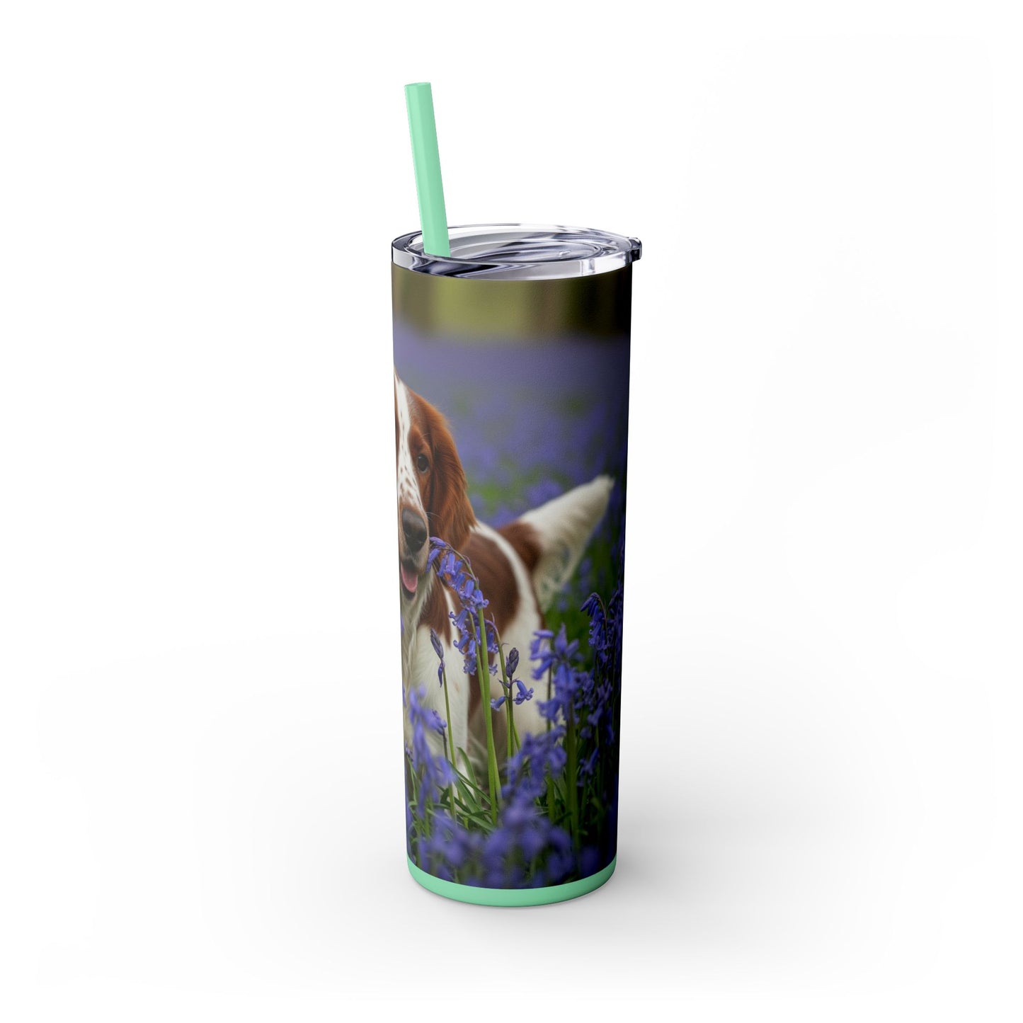 Welsh Springer Spaniel Skinny Tumbler with Straw, 20oz