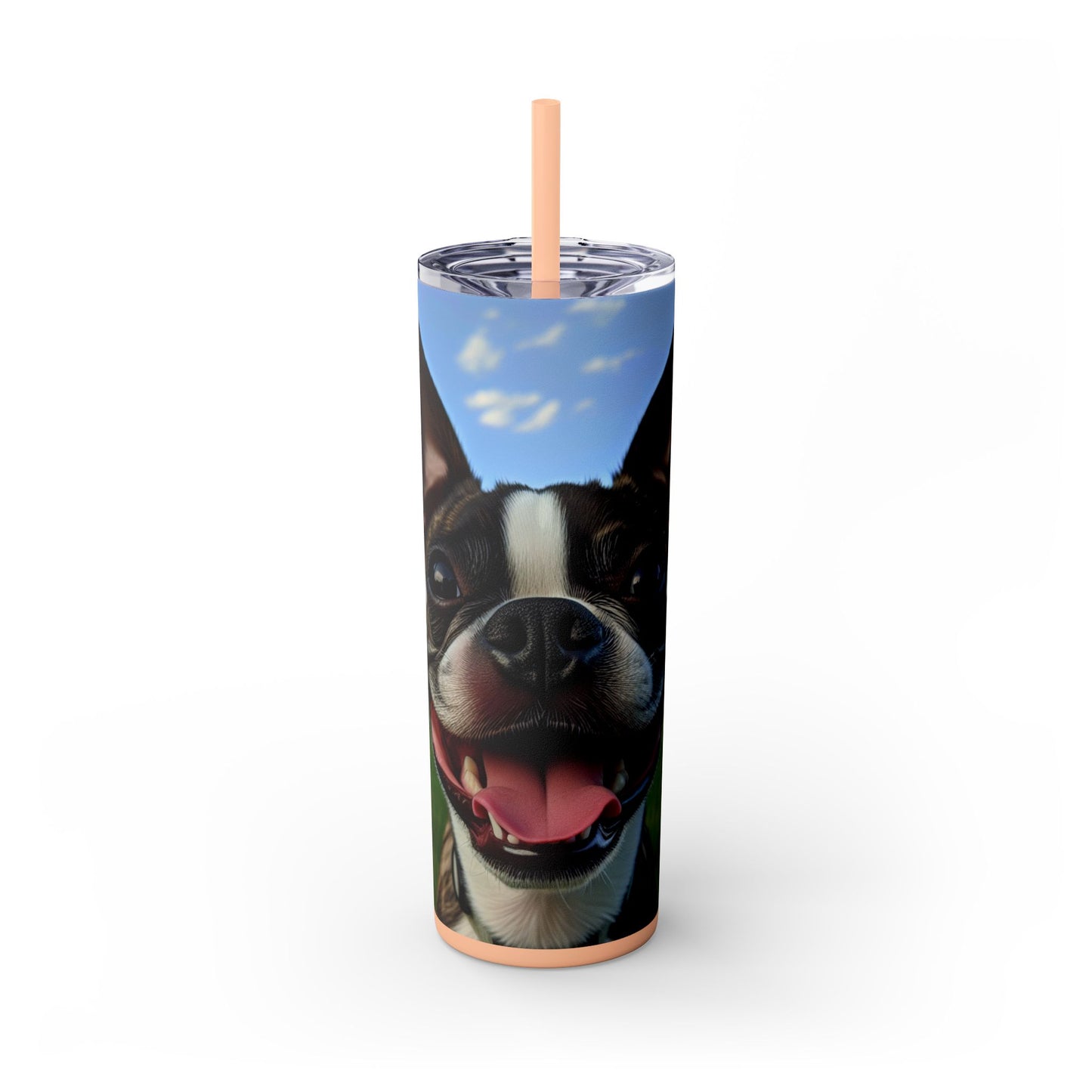 Boston Terrier Tumbler with Straw, 20oz