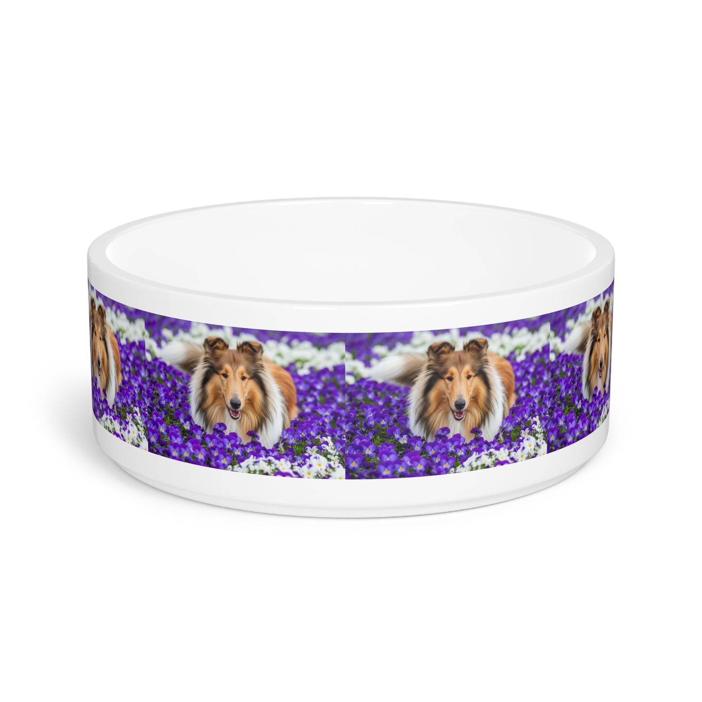Collie Pet Bowl