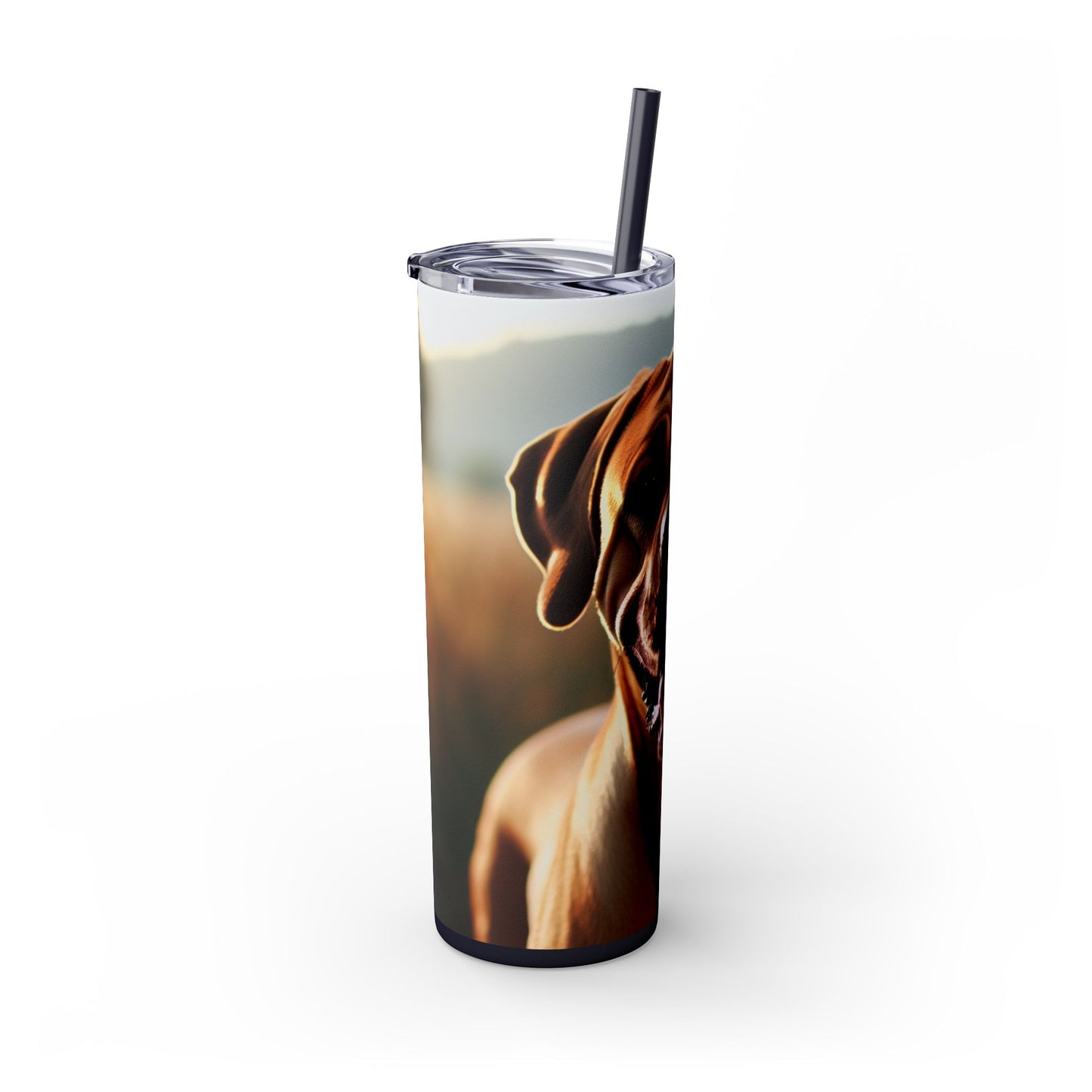 Broholmer Tumbler with Straw, 20oz