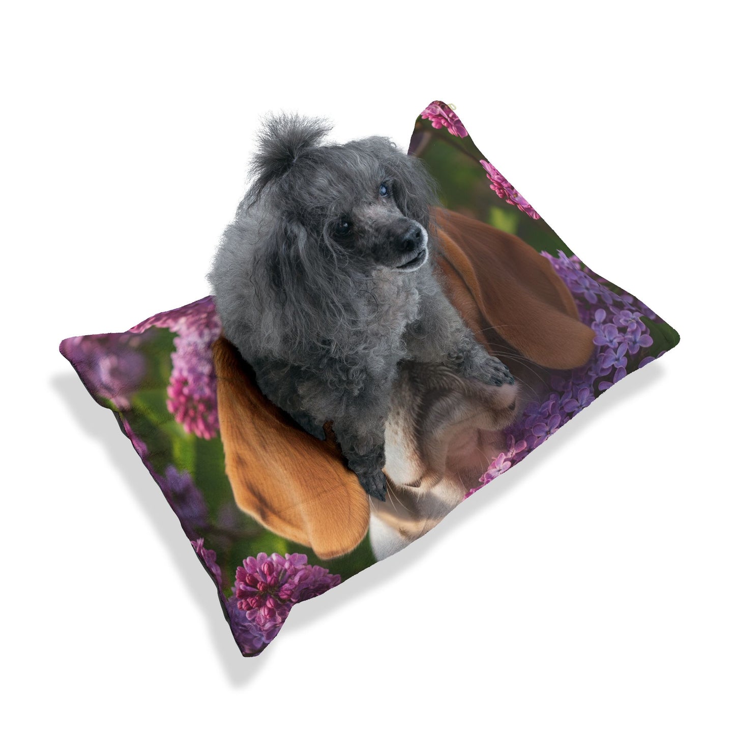 Peagle Pet Bed