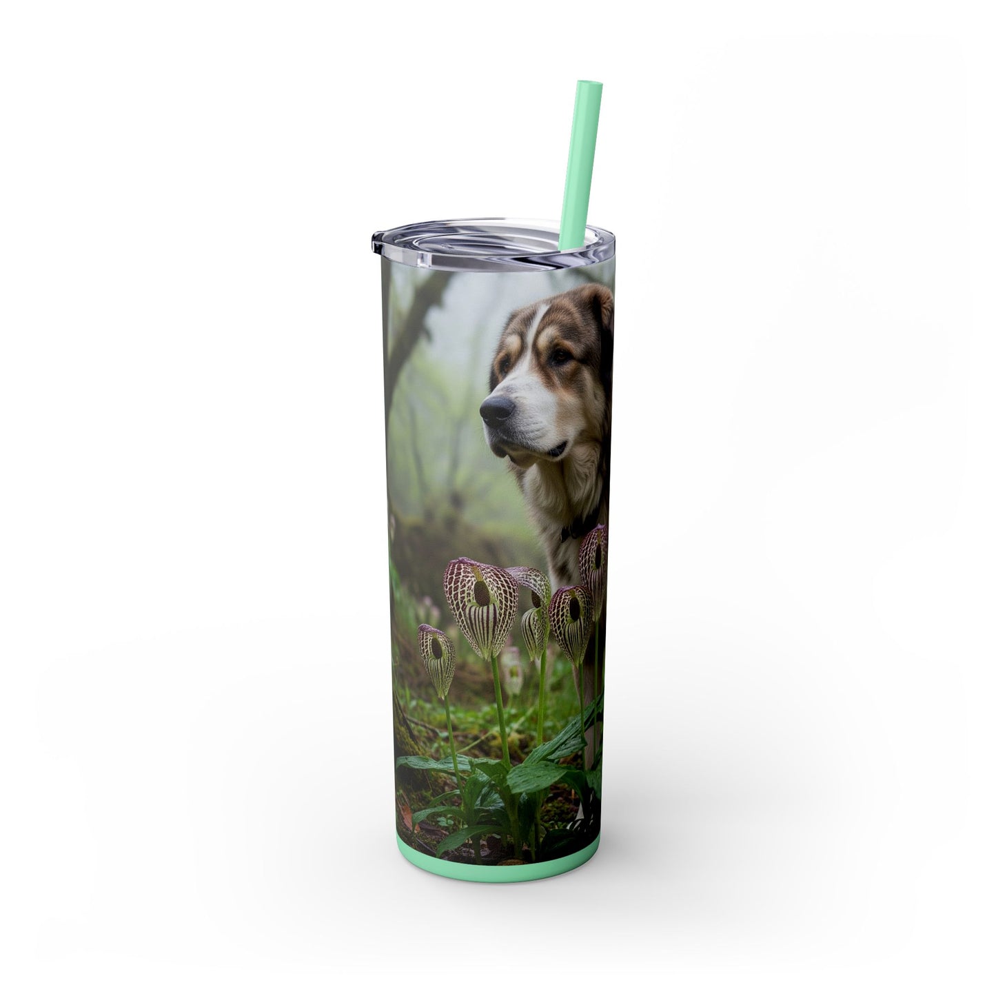 Bakharwal Tumbler with Straw, 20oz