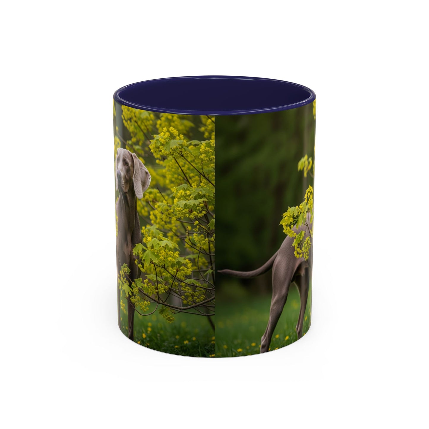 Weimaraner Accent Coffee Mug - Perfect Gift for Dog Lovers