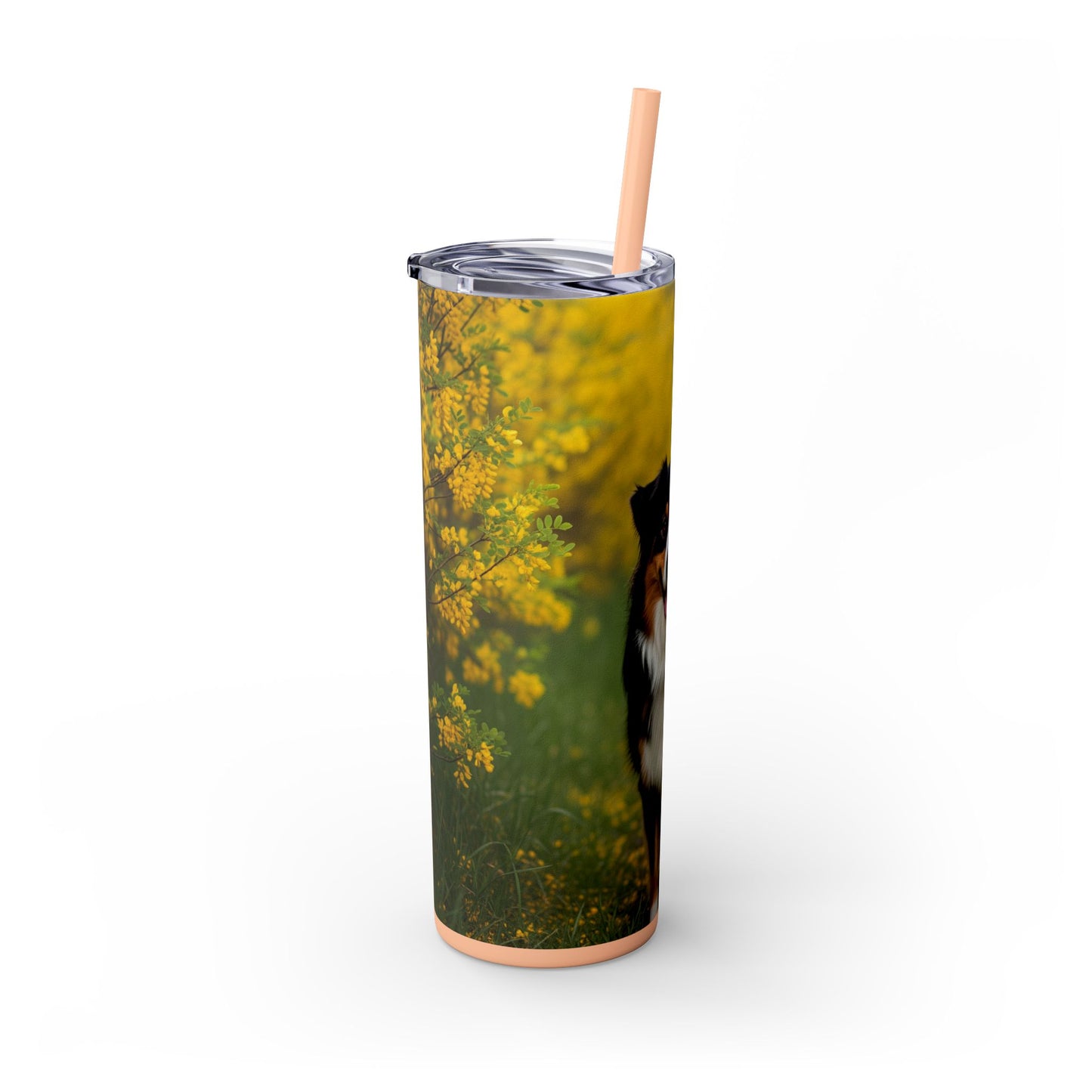 Australian Shepherd Skinny Tumbler with Straw, 20oz