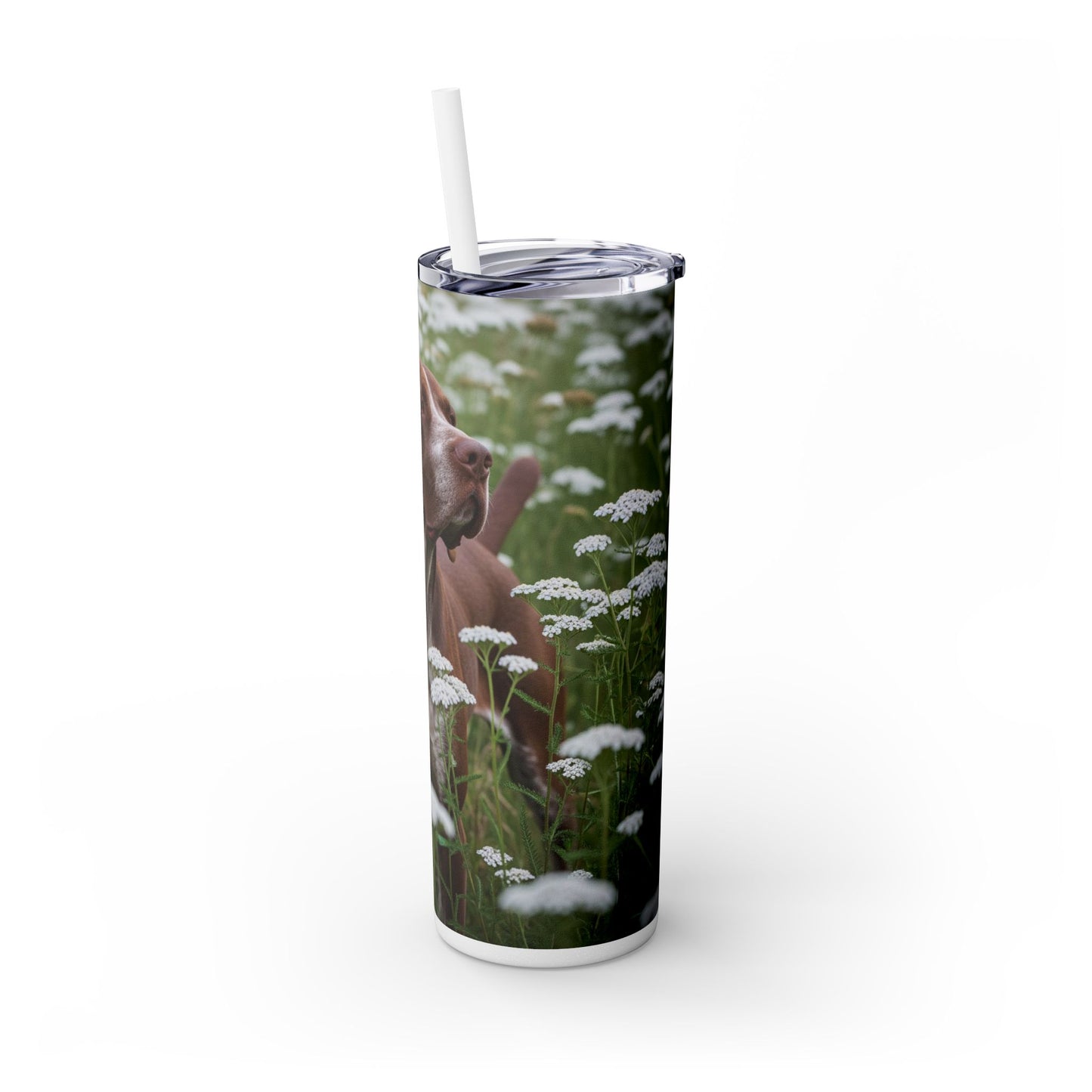Braque du Bourbonnais Tumbler with Straw, 20oz