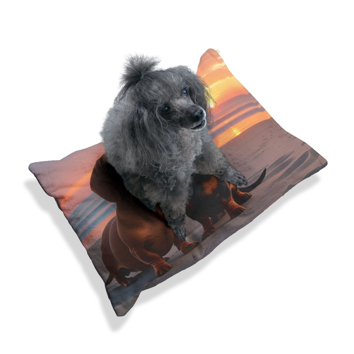 Dachshund Love Pet Bed
