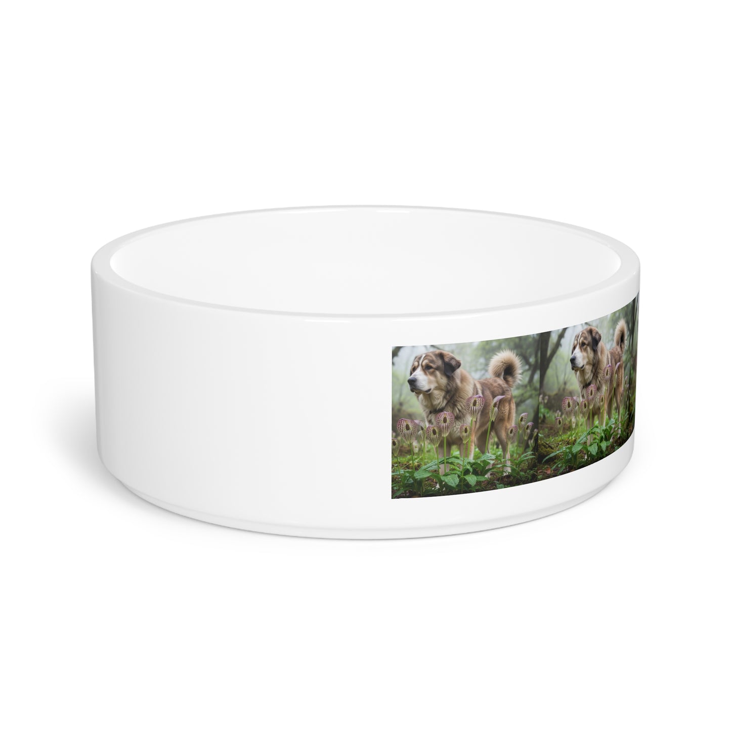 Bakharwal Pet Bowl
