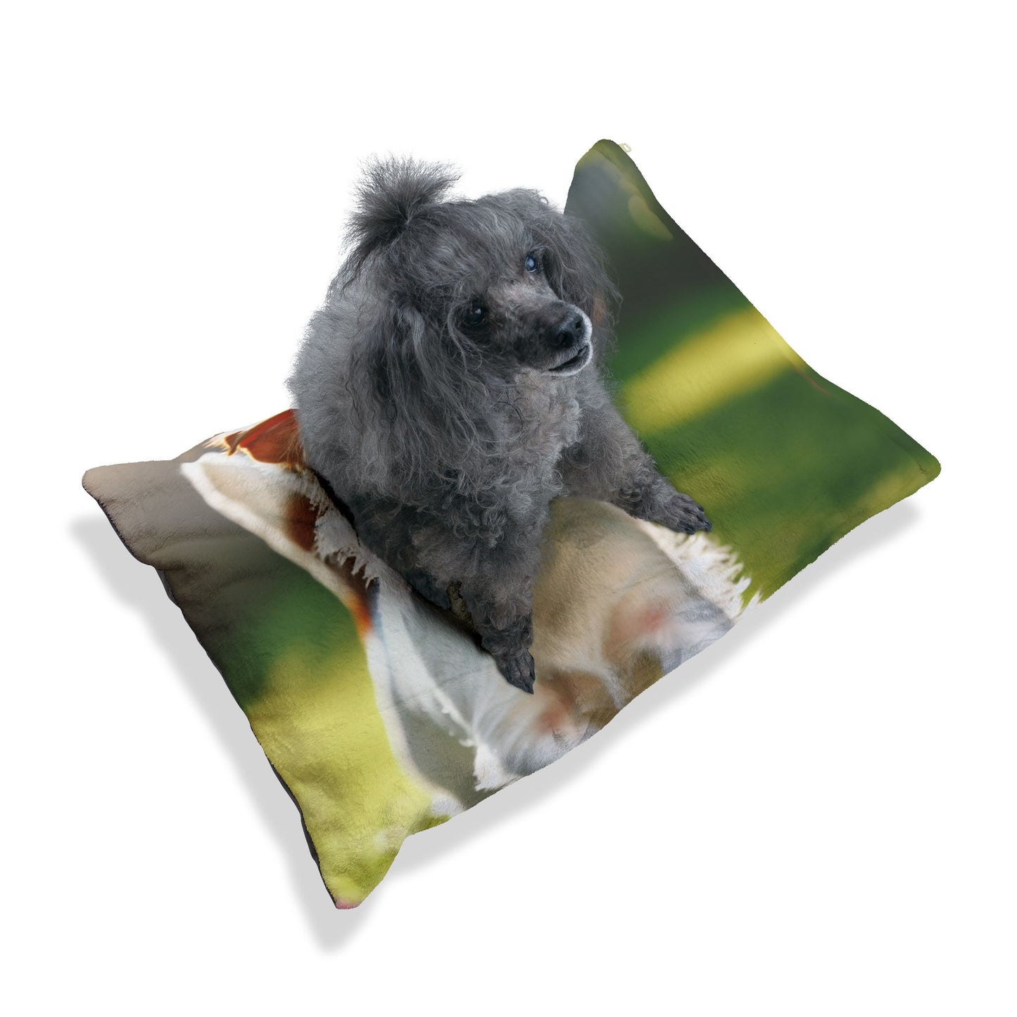 Parson Russell Terrier Pet Bed