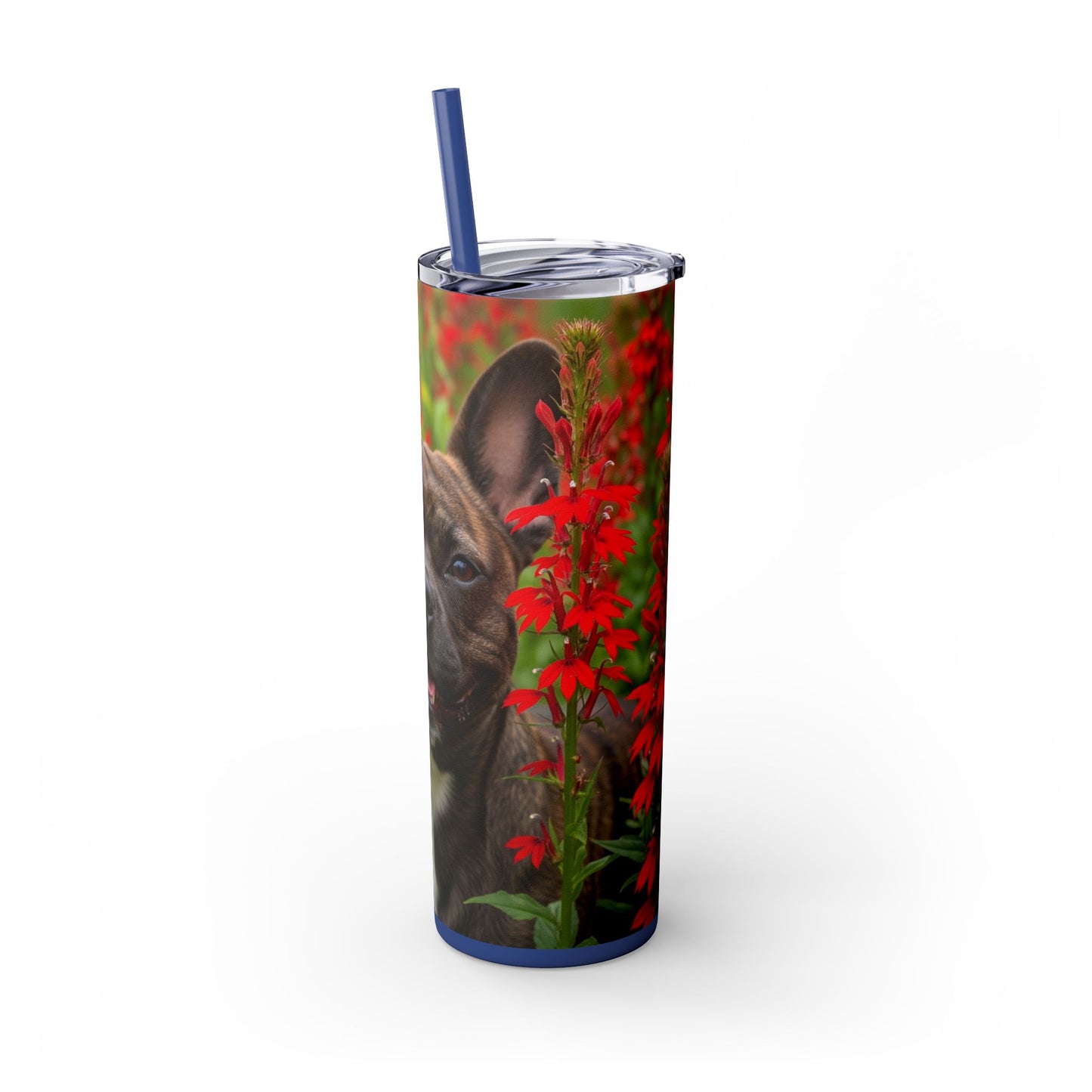 Frenchton Tumbler with Straw, 20oz