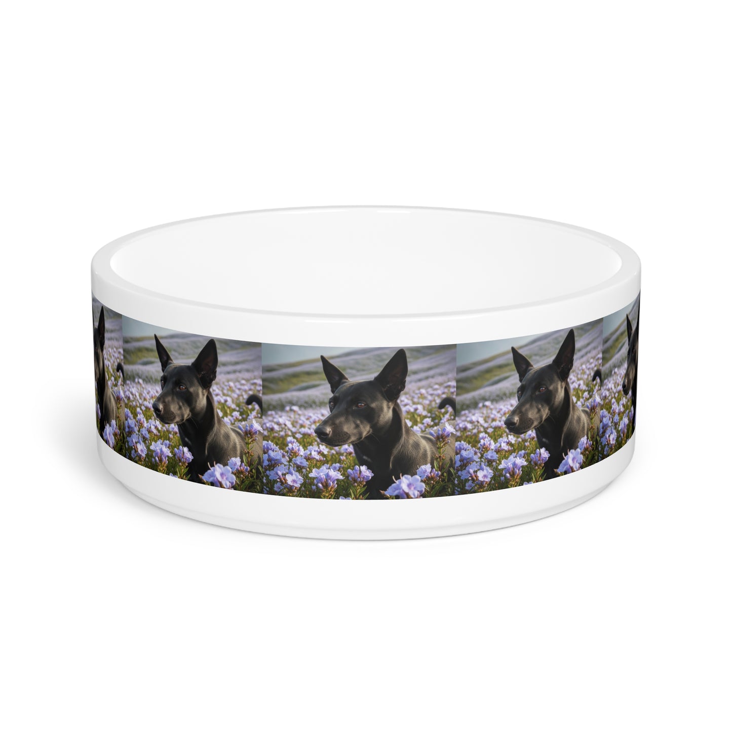Kanni Pet Bowl