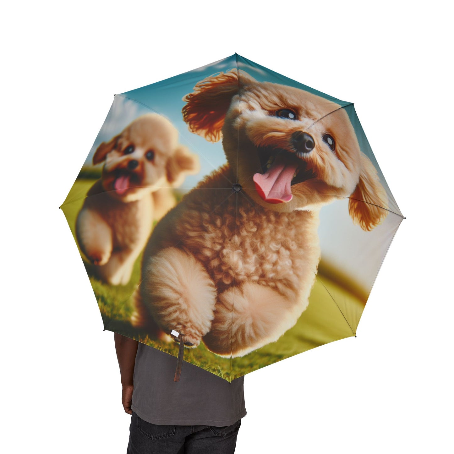 Toy Poodle Semi-Automatic Foldable Umbrella
