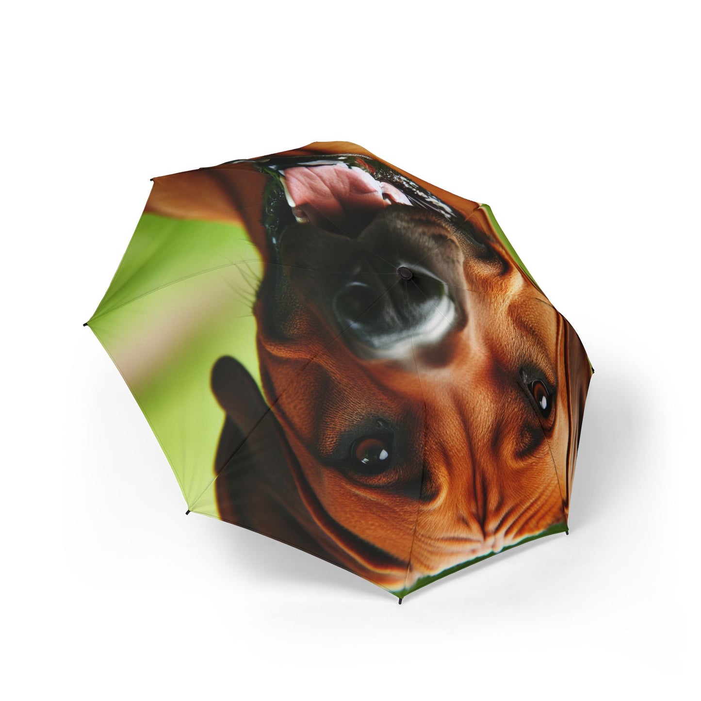 Rhodesian Ridgeback Semi-Automatic Foldable Umbrella