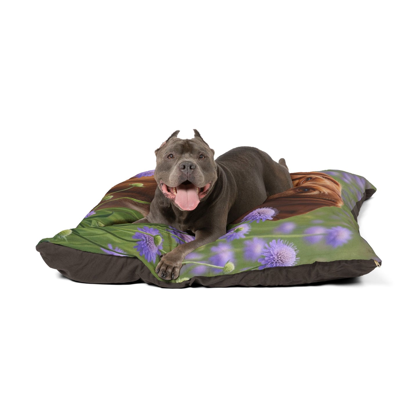 Hungarian Wirehaired Vizsla Pet Bed