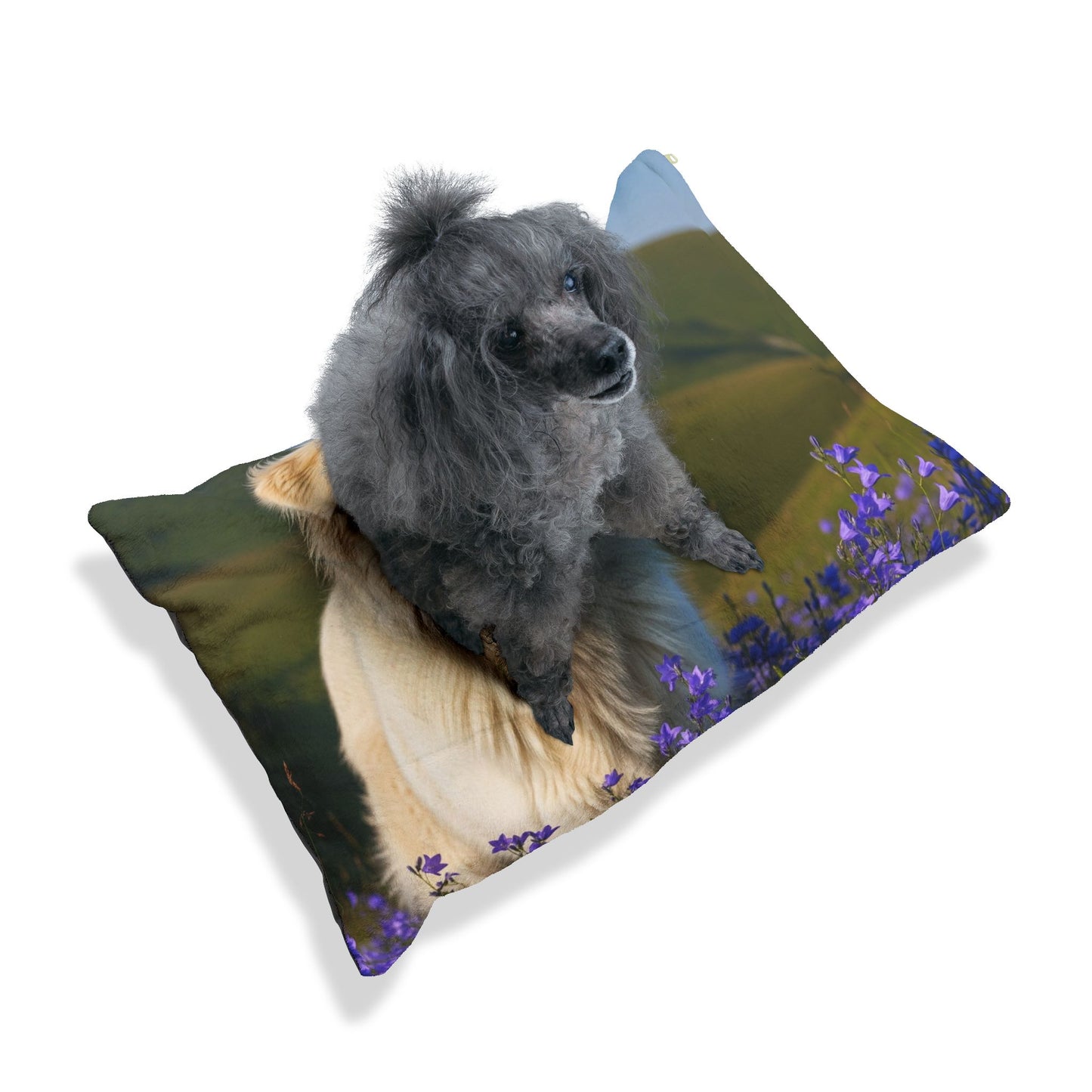 Romanian Carpathian Shepherd Pet Bed