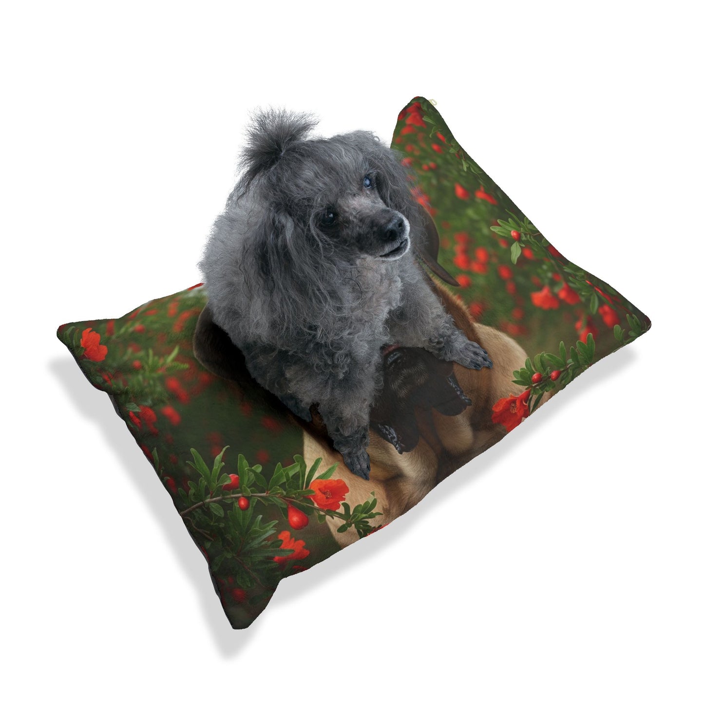 Mastiff Pet Bed