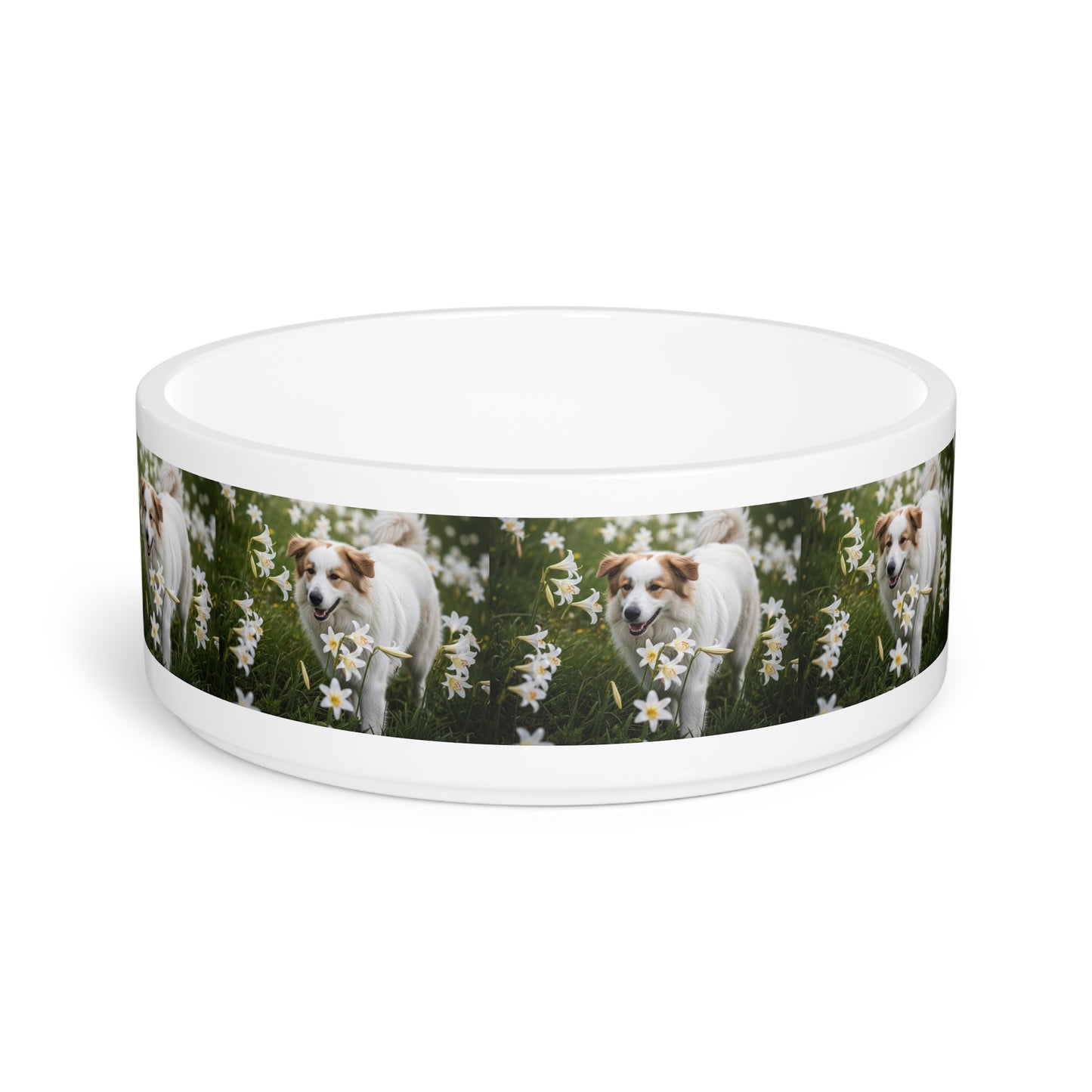Pyrenean Shepherd Pet Bowl