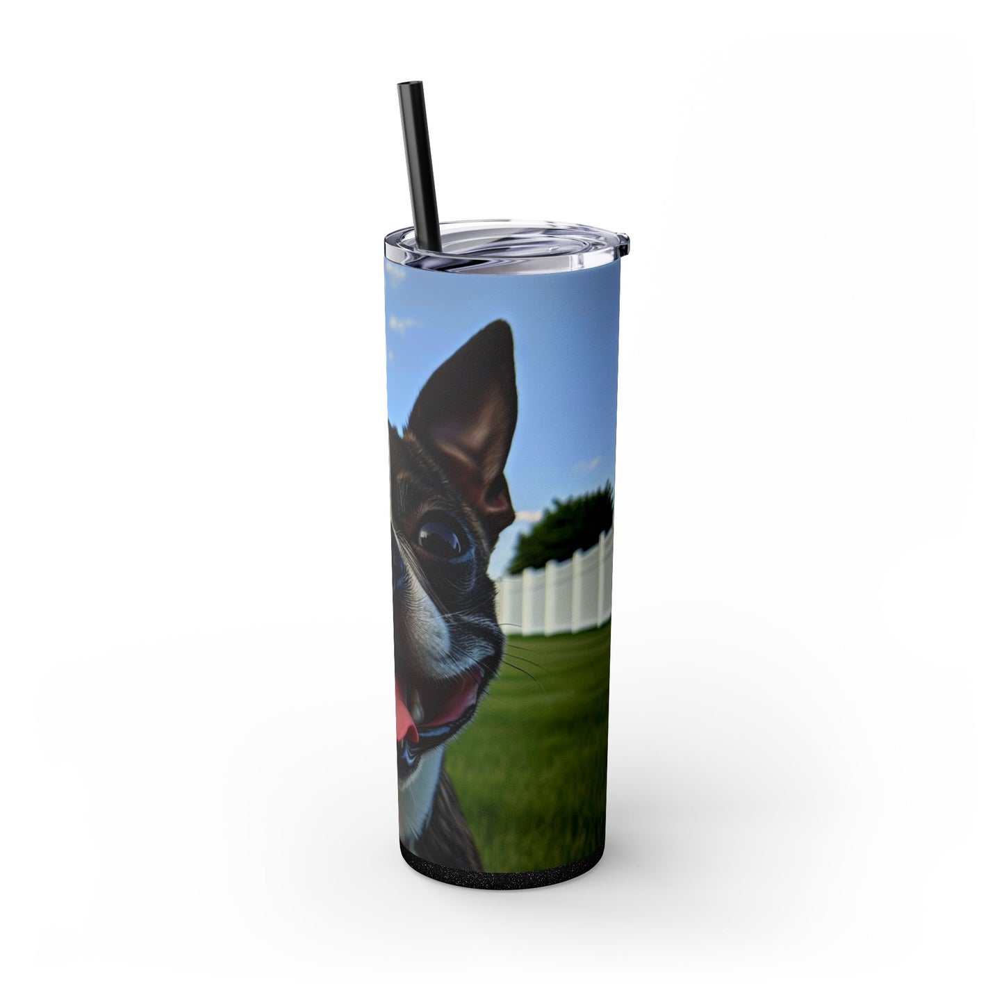 Boston Terrier Tumbler with Straw, 20oz