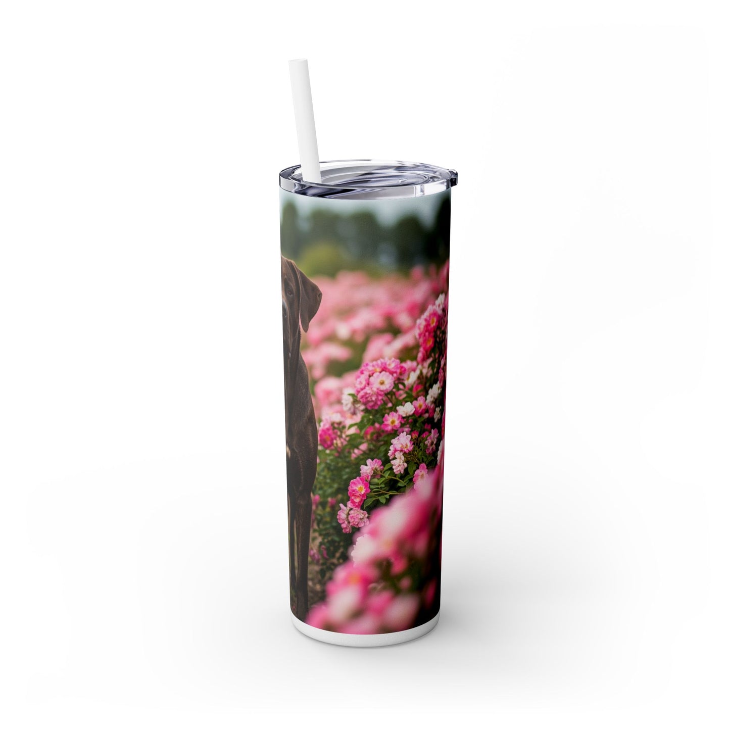 Broholmer Tumbler with Straw, 20oz