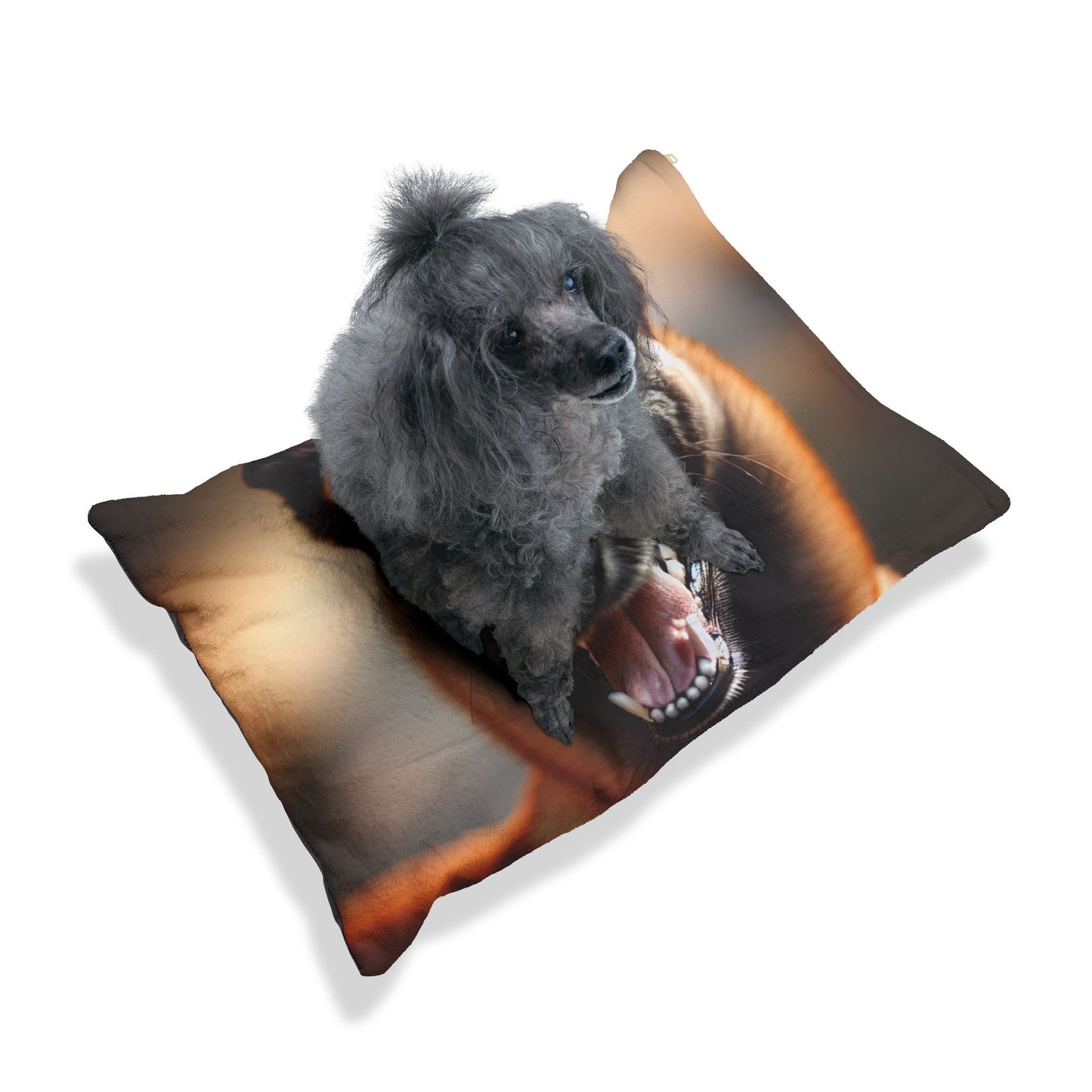 Belgian Shepherd Dog Malinois Pet Bed
