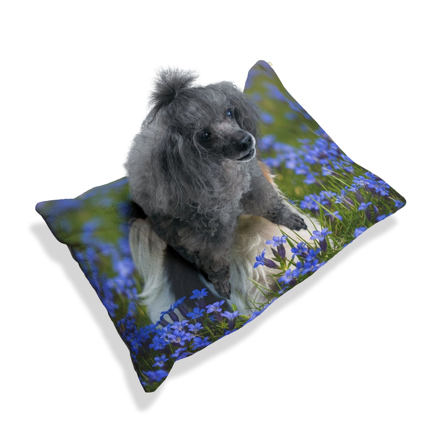 Biewer Terrier Pet Bed