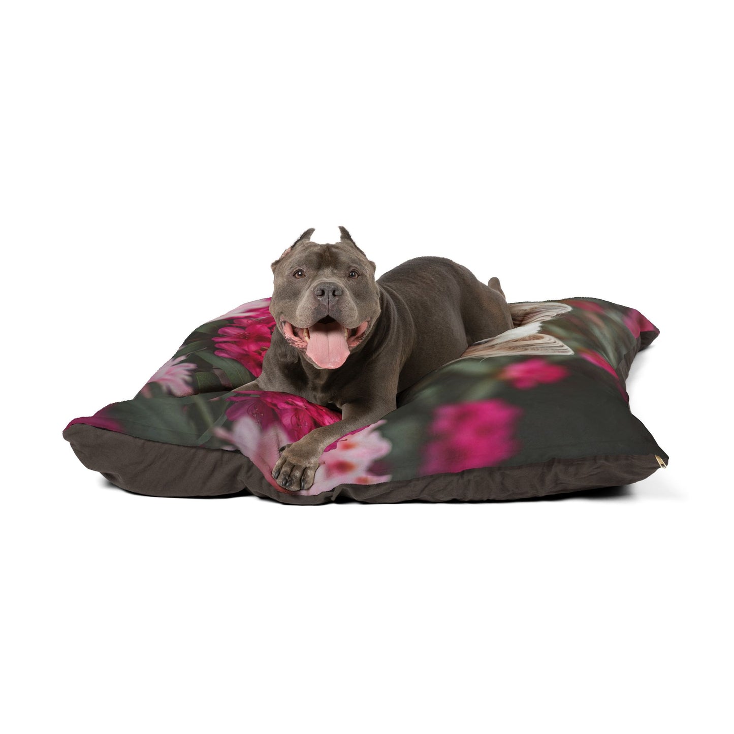 Chinese Crested Pet Bed